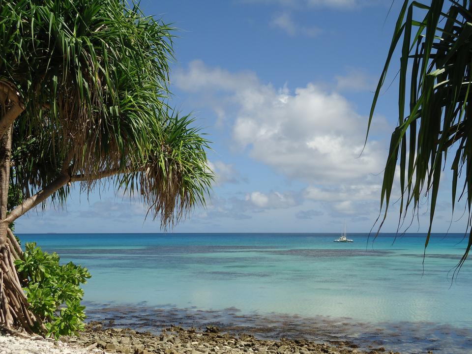 Free download high resolution image - free image free photo free stock image public domain picture  Palm tree leaves over luxury beach