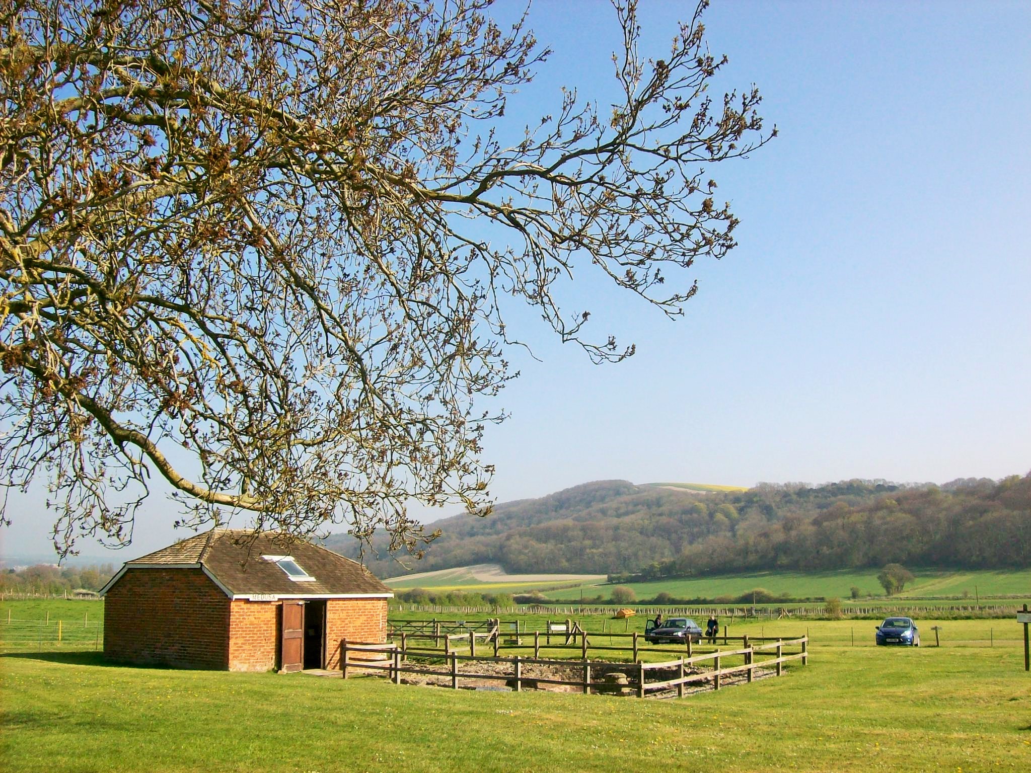 Free download high resolution image - free image free photo free stock image public domain picture -Green pastures of horse farms