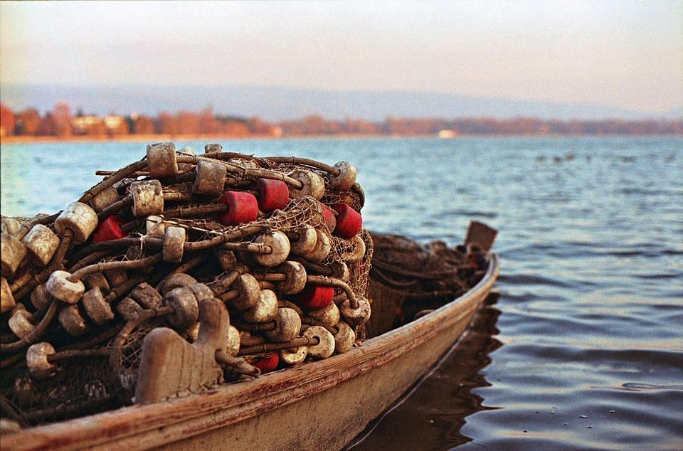 Free download high resolution image - free image free photo free stock image public domain picture  Fishing nets closeup