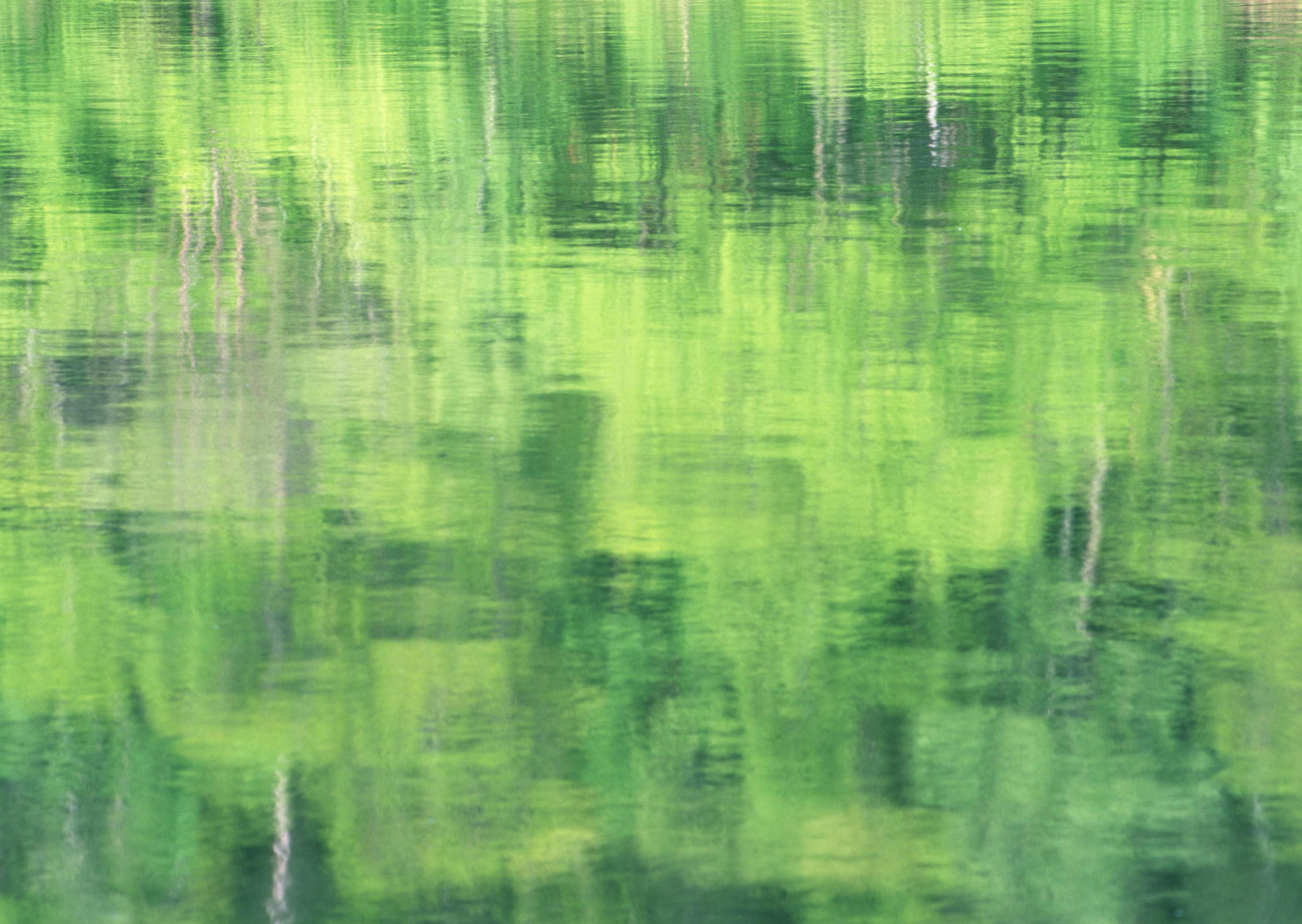 Free download high resolution image - free image free photo free stock image public domain picture -Green water surface