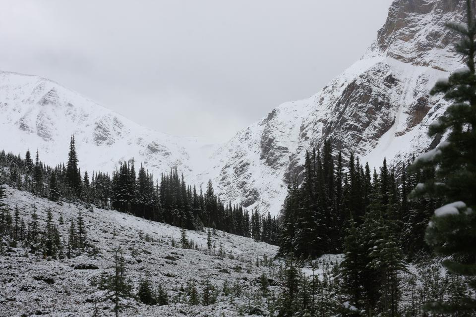 Free download high resolution image - free image free photo free stock image public domain picture  mount Edith Cavell and Angel Glacier in Jasper National Park