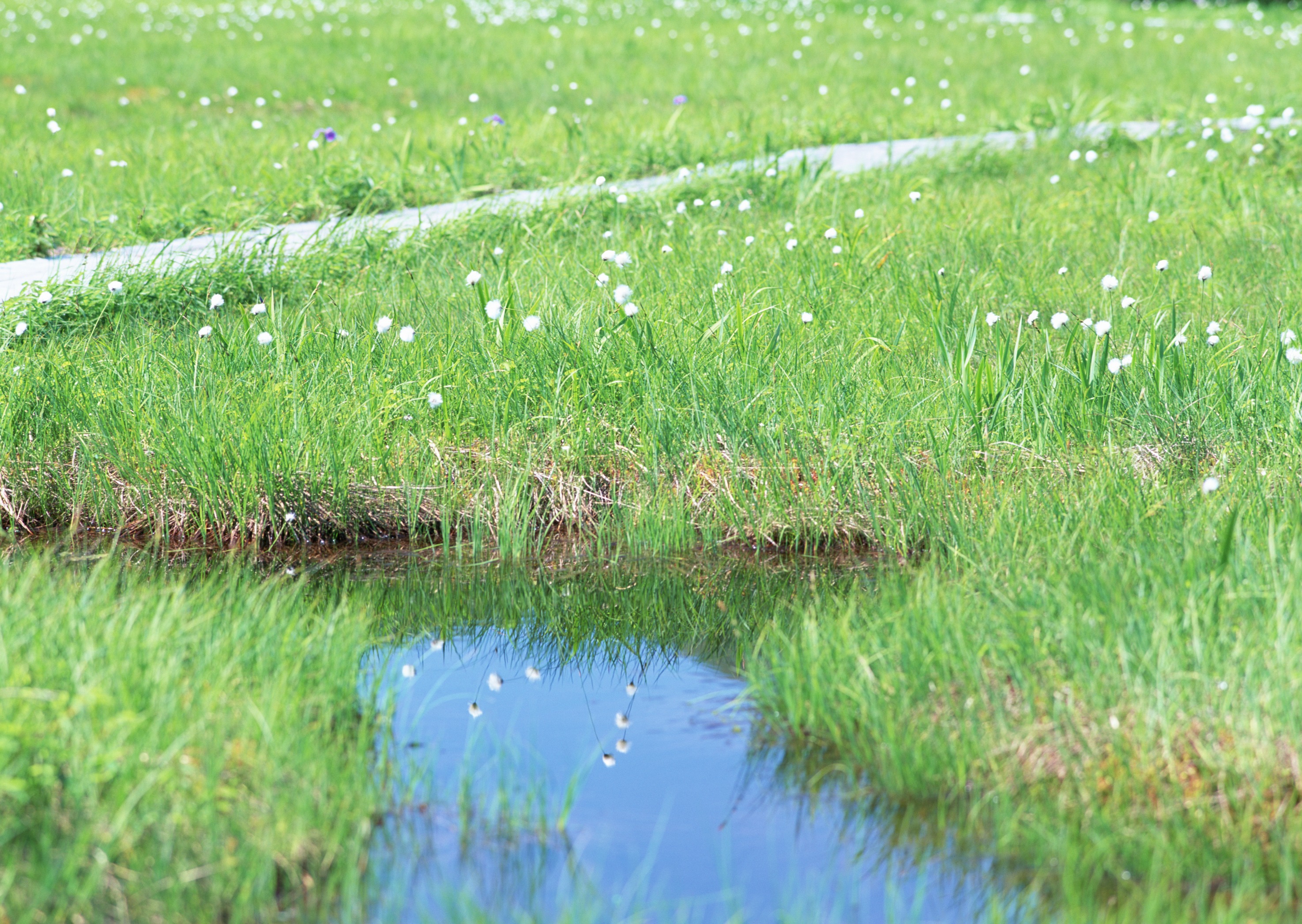 Free download high resolution image - free image free photo free stock image public domain picture -river with reflections in weater