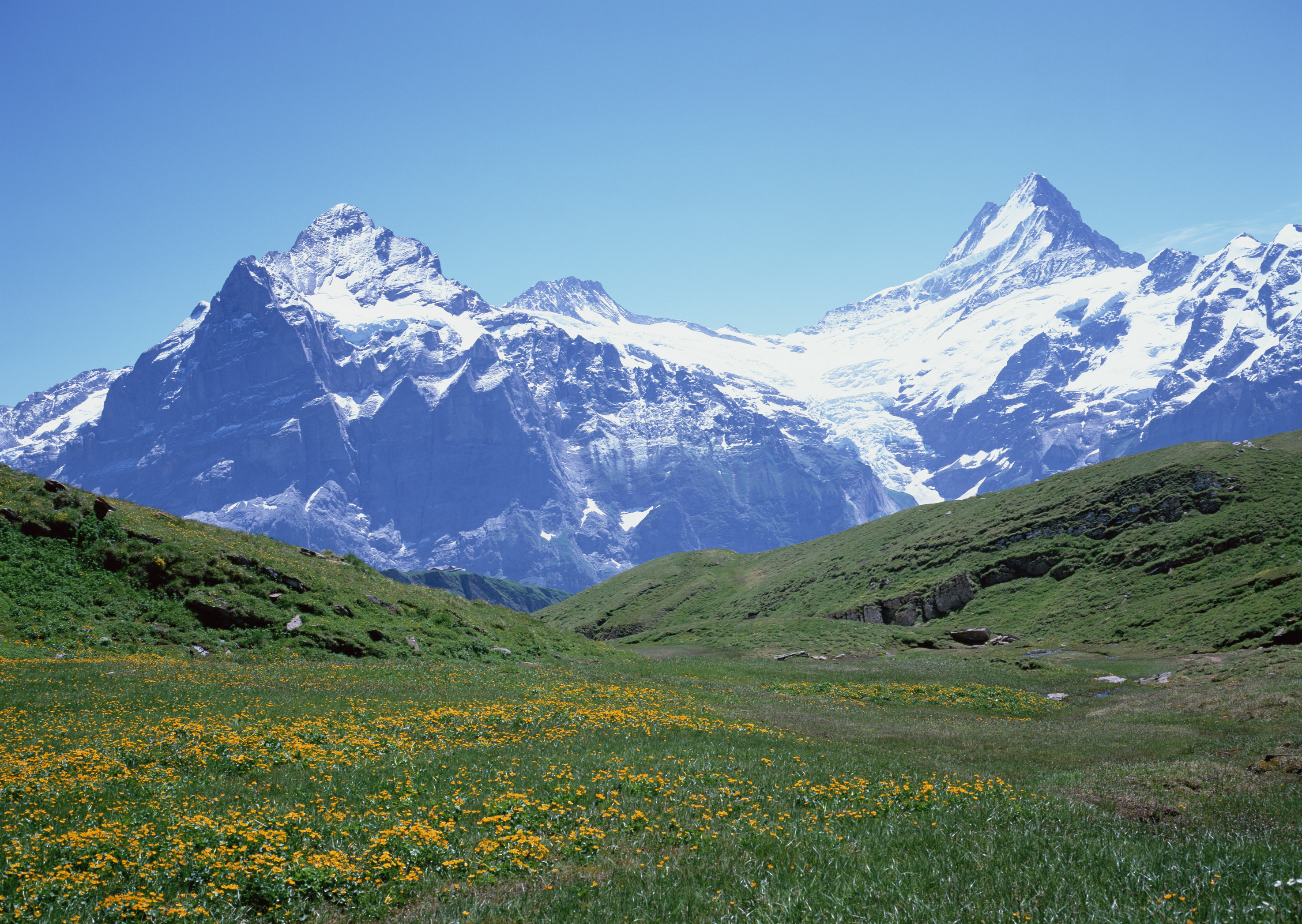 Free download high resolution image - free image free photo free stock image public domain picture -Amazing view of touristic trail near the Matterhorn in the Swiss