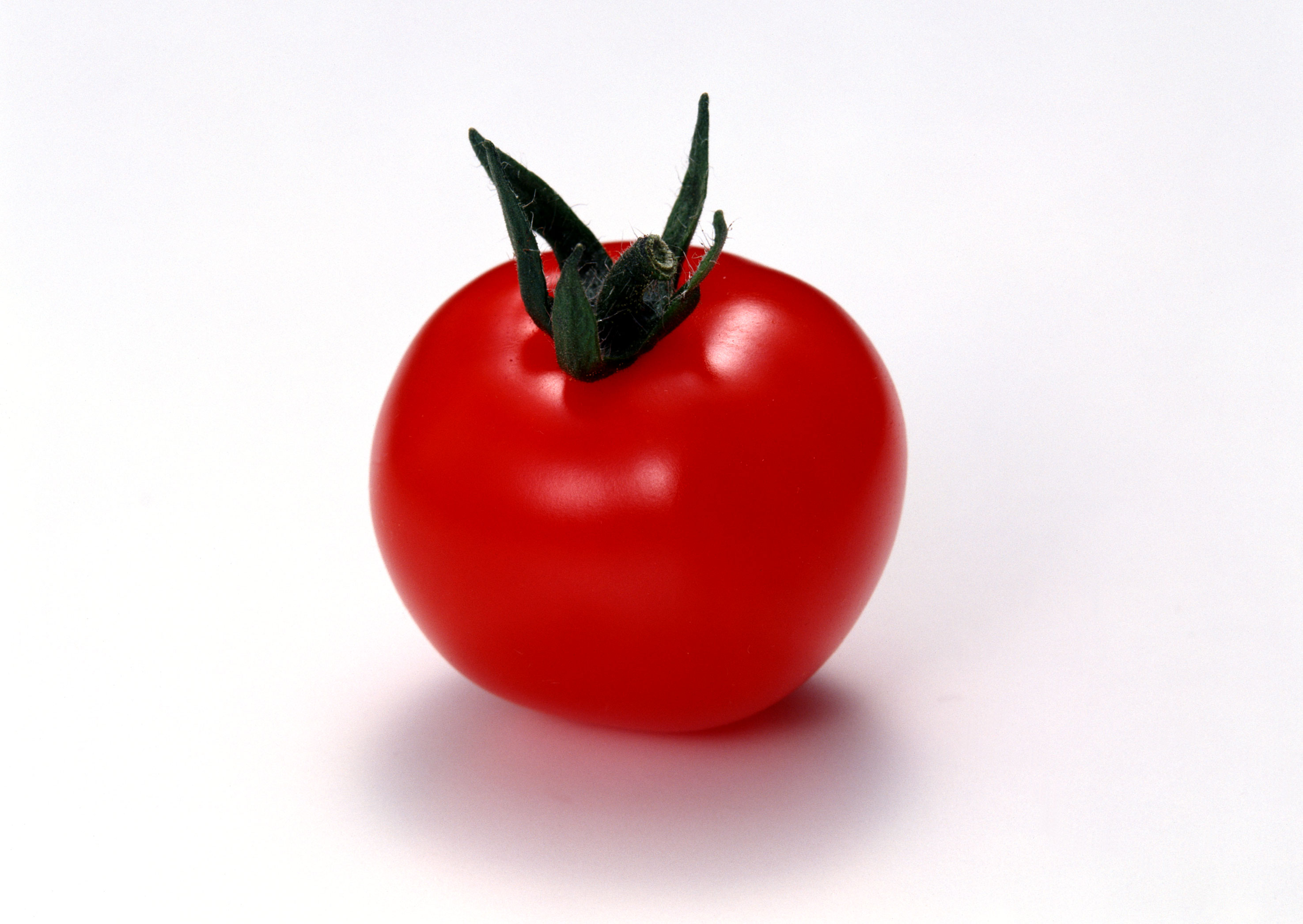 Free download high resolution image - free image free photo free stock image public domain picture -one fresh red tomato