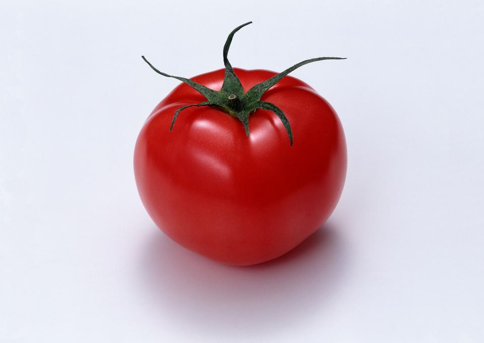 Free download high resolution image - free image free photo free stock image public domain picture  one fresh red tomato