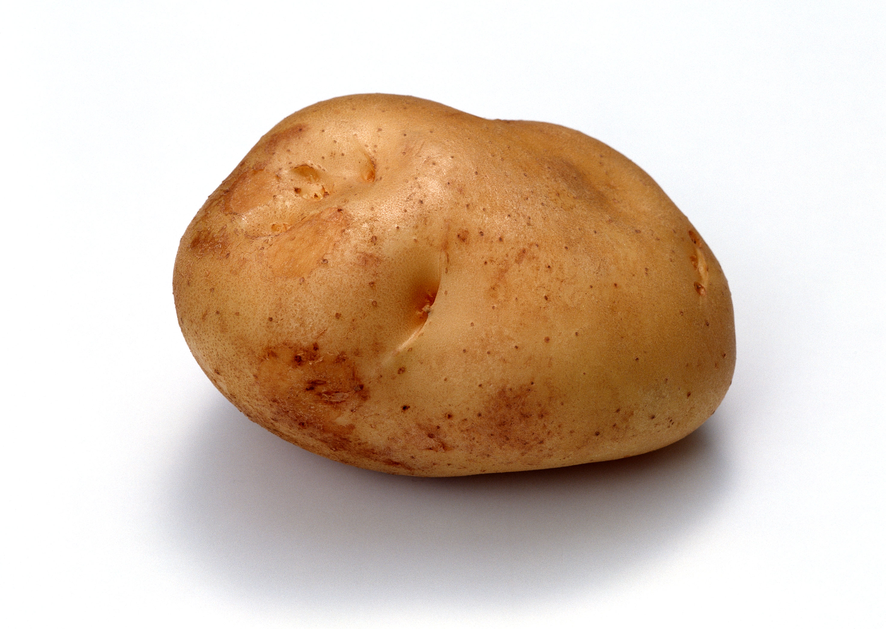 Free download high resolution image - free image free photo free stock image public domain picture -potato on white background