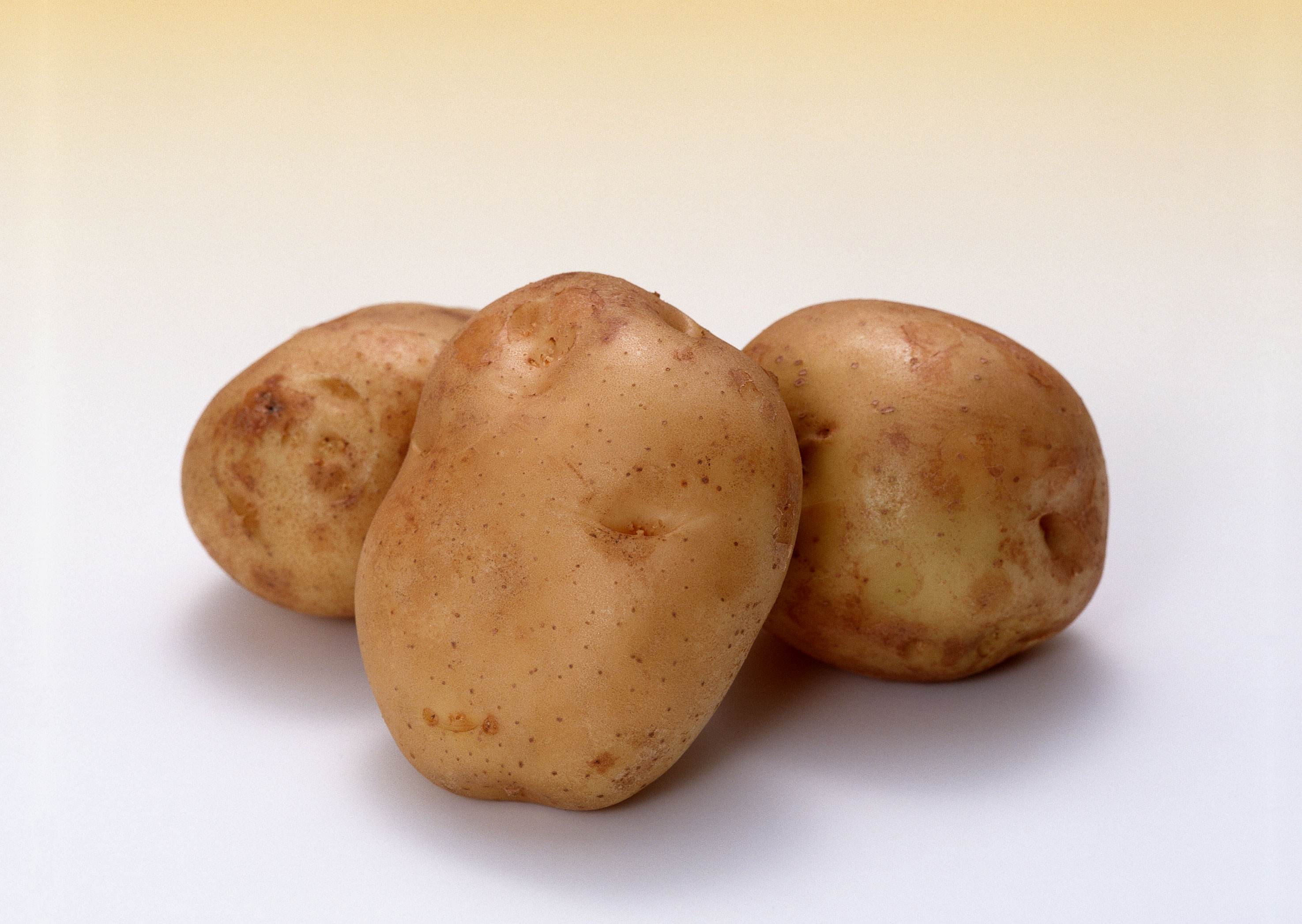 Free download high resolution image - free image free photo free stock image public domain picture -potato on white background close up