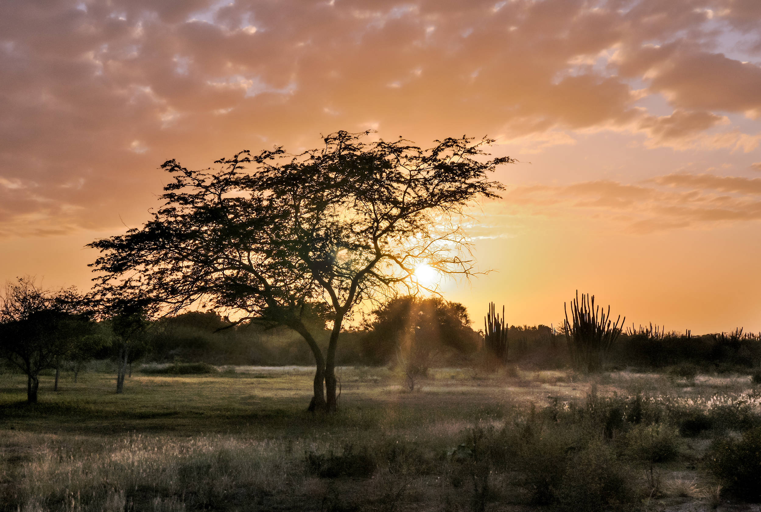 Free download high resolution image - free image free photo free stock image public domain picture -Backlit Margarita Island Sunset