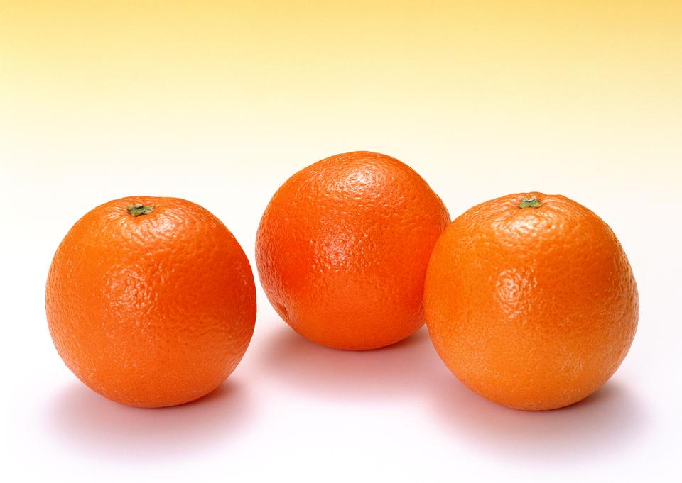 Free download high resolution image - free image free photo free stock image public domain picture  Citrus isolated on white background