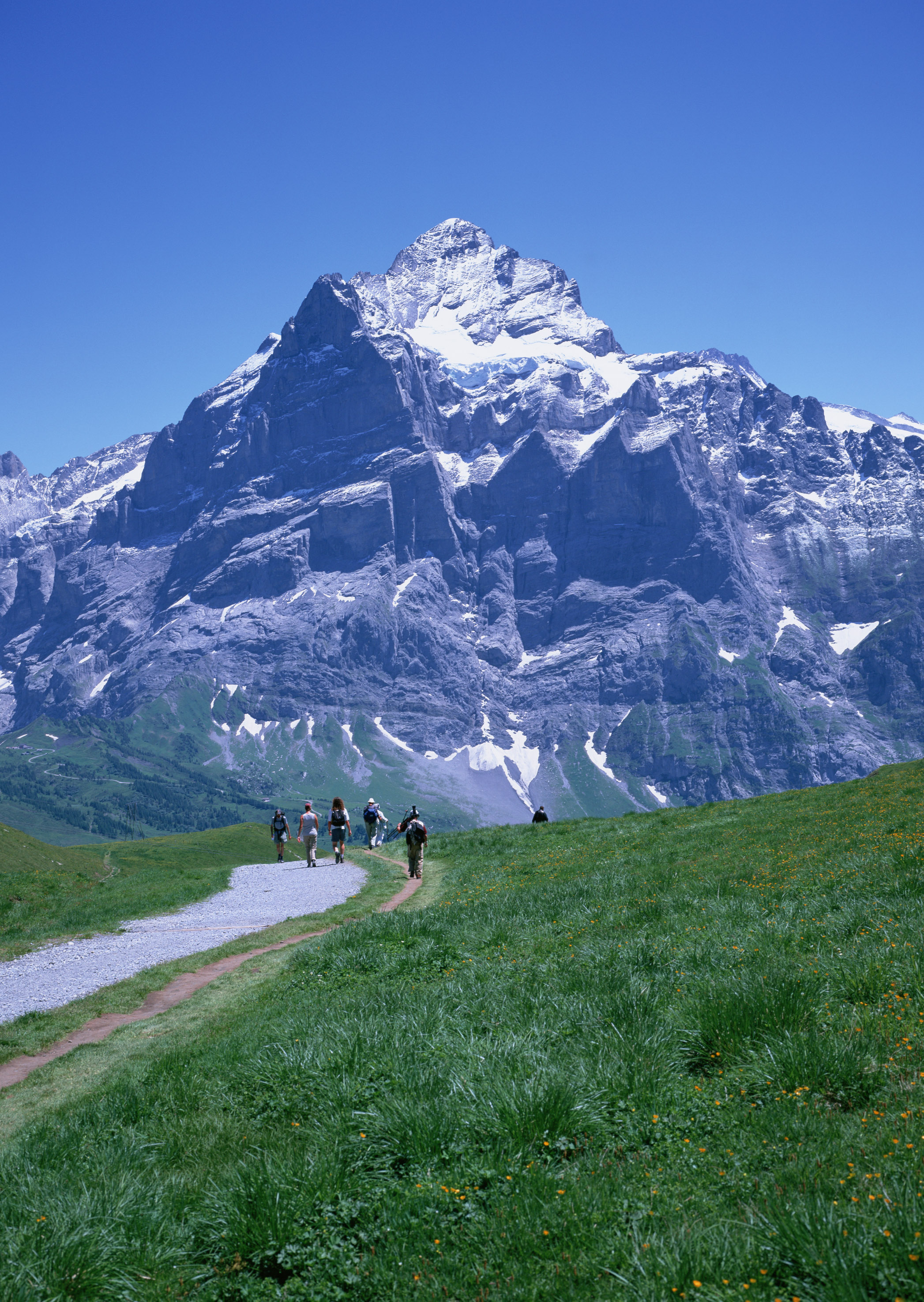 Free download high resolution image - free image free photo free stock image public domain picture -hikers team in the mountains. Matterhorn. Swiss Alps