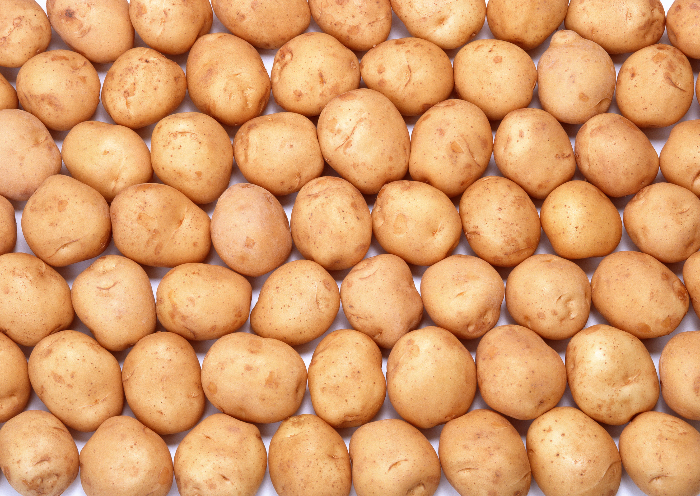 Free download high resolution image - free image free photo free stock image public domain picture -Fresh potatoes