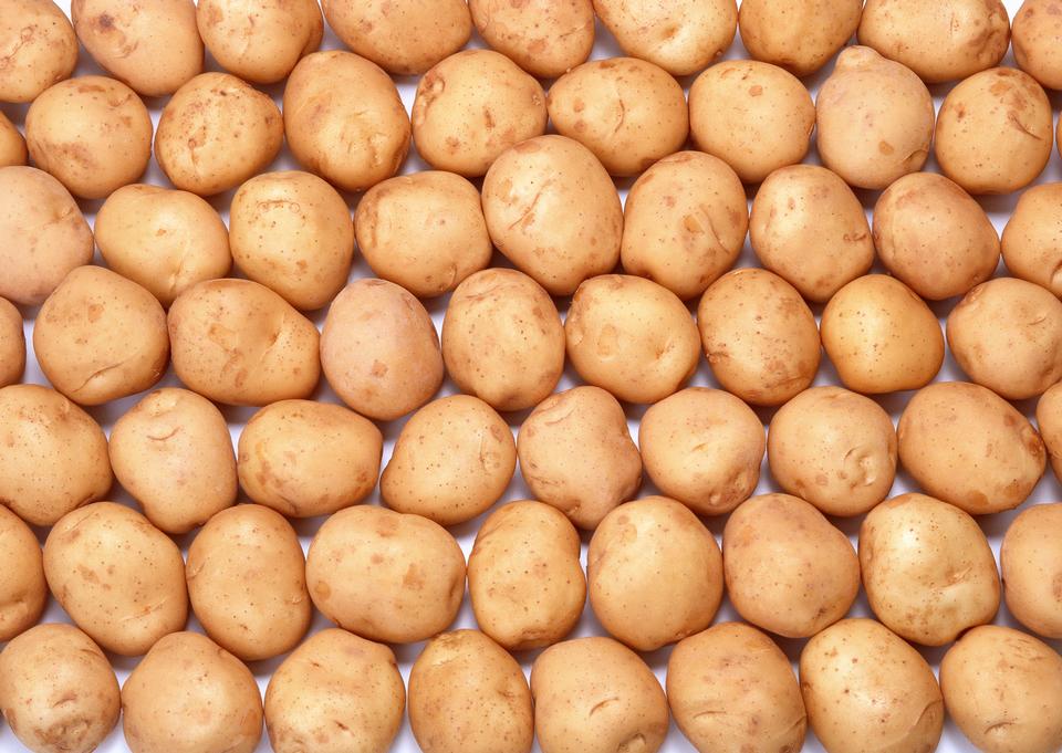 Free download high resolution image - free image free photo free stock image public domain picture  Fresh potatoes