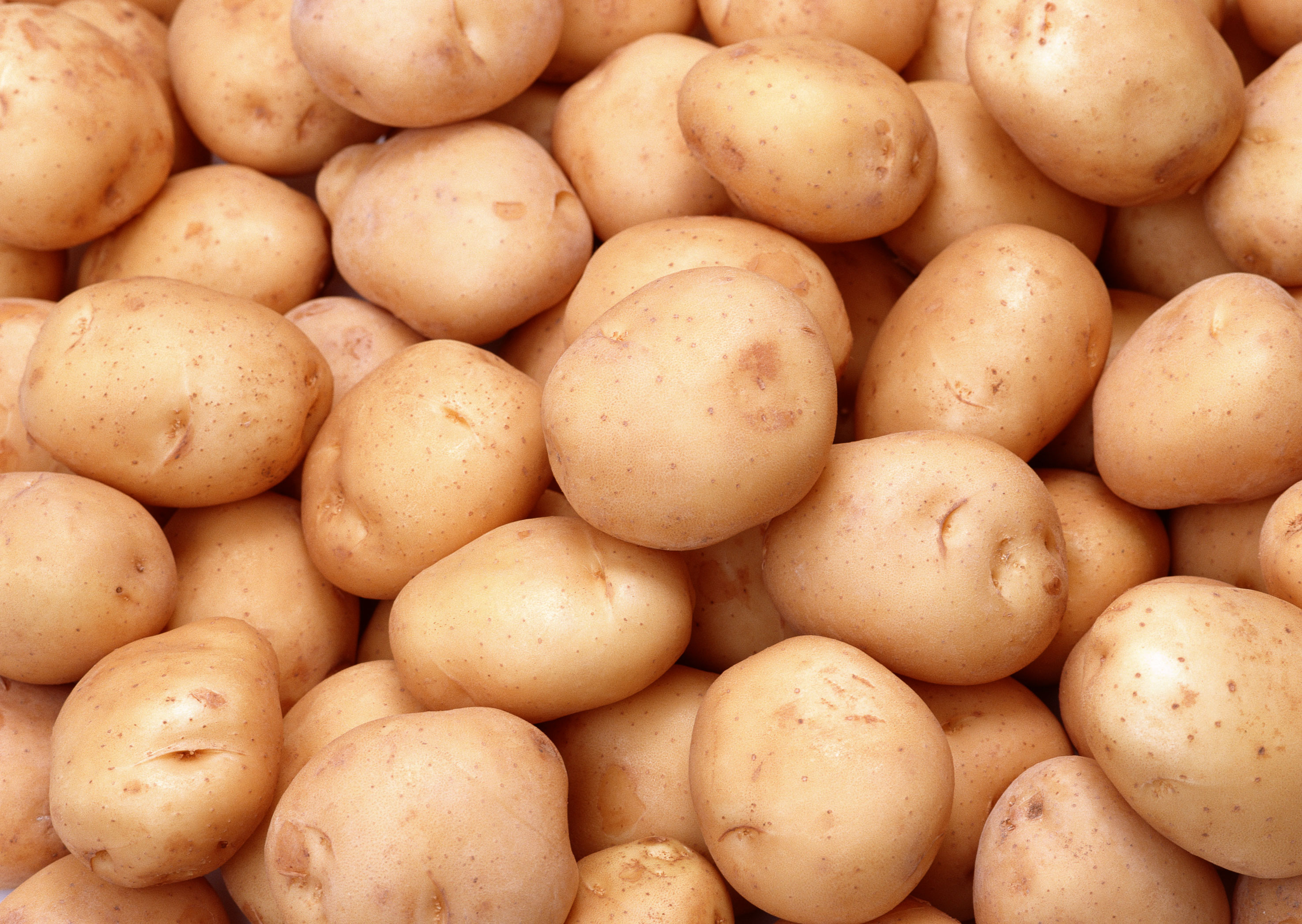 Free download high resolution image - free image free photo free stock image public domain picture -Fresh organic potatoes