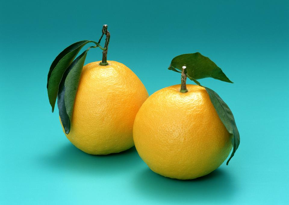 Free download high resolution image - free image free photo free stock image public domain picture  ripe orange with leaves