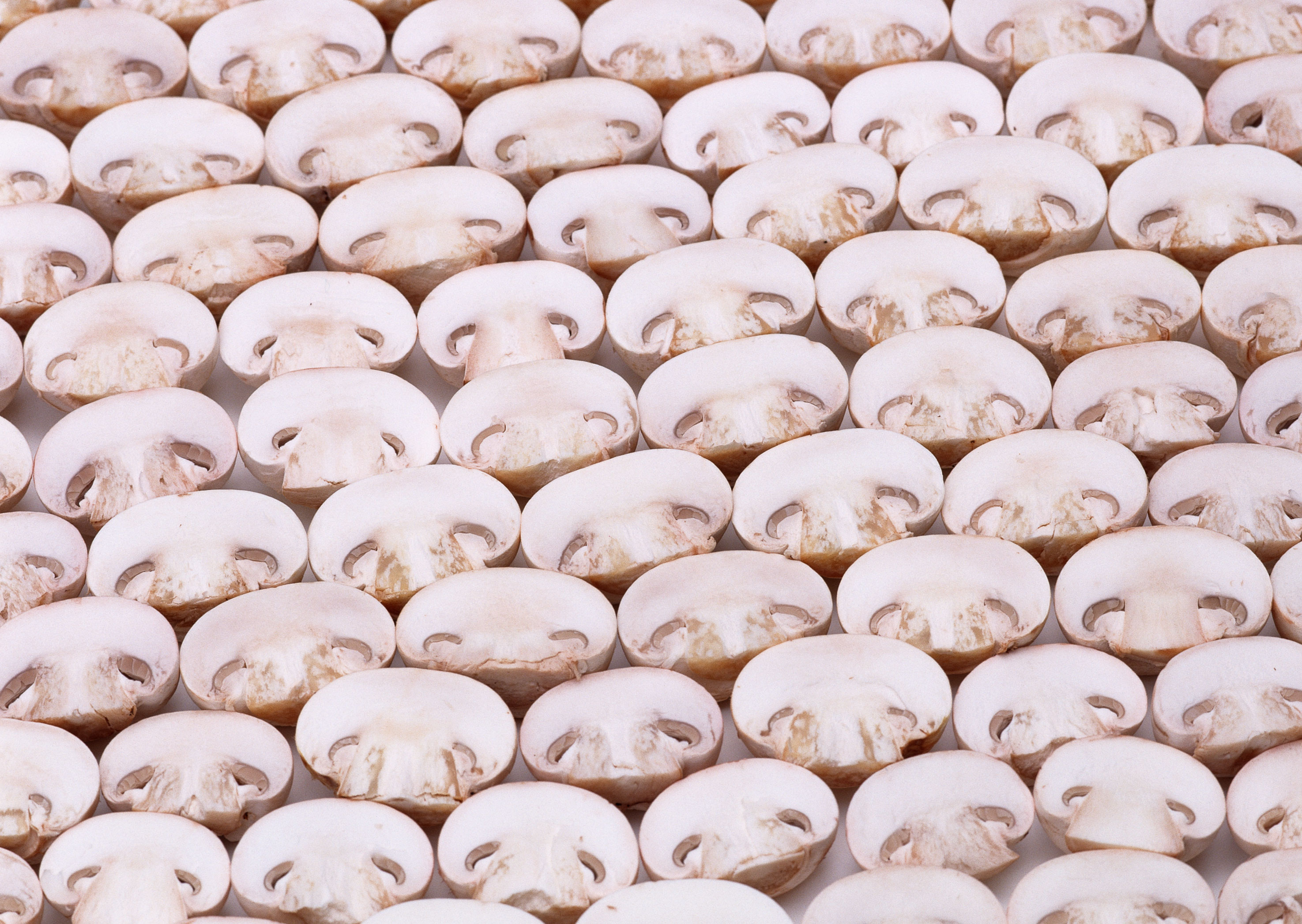 Free download high resolution image - free image free photo free stock image public domain picture -sliced mushrooms isolated on white