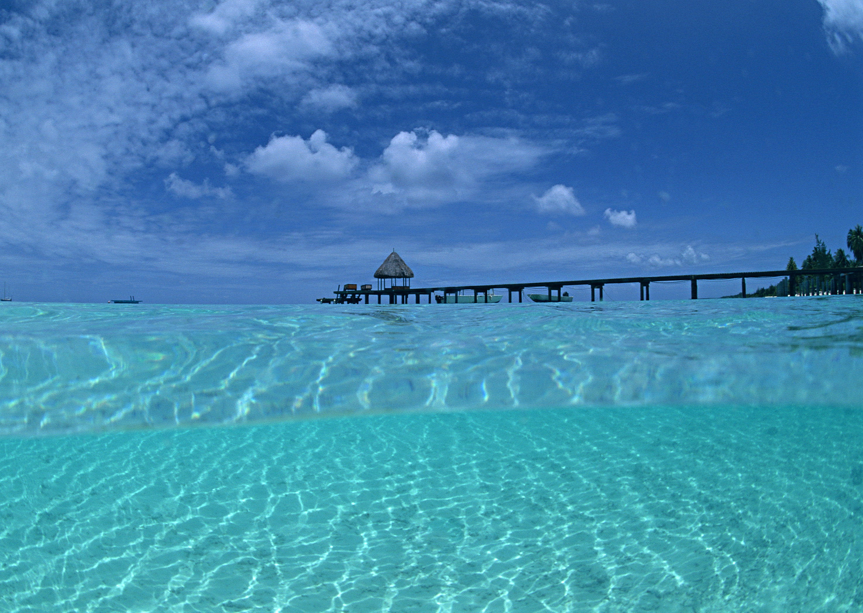 Free download high resolution image - free image free photo free stock image public domain picture -Beautiful beach landscape in Maldives