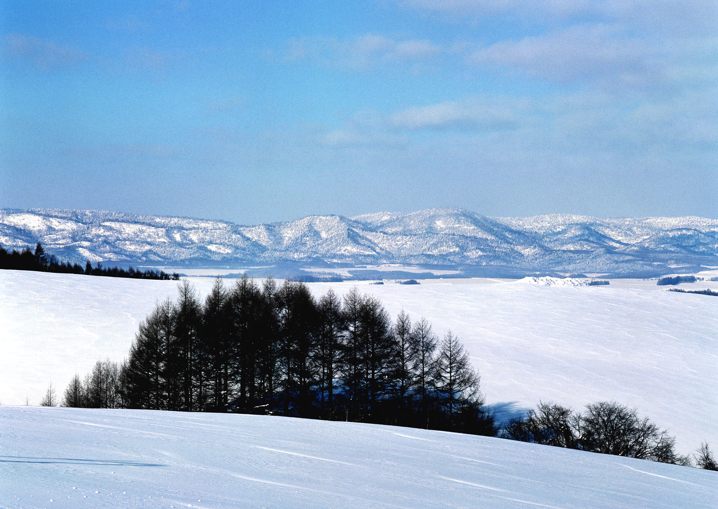 Free download high resolution image - free image free photo free stock image public domain picture -Beautiful winter landscape with snow covered trees