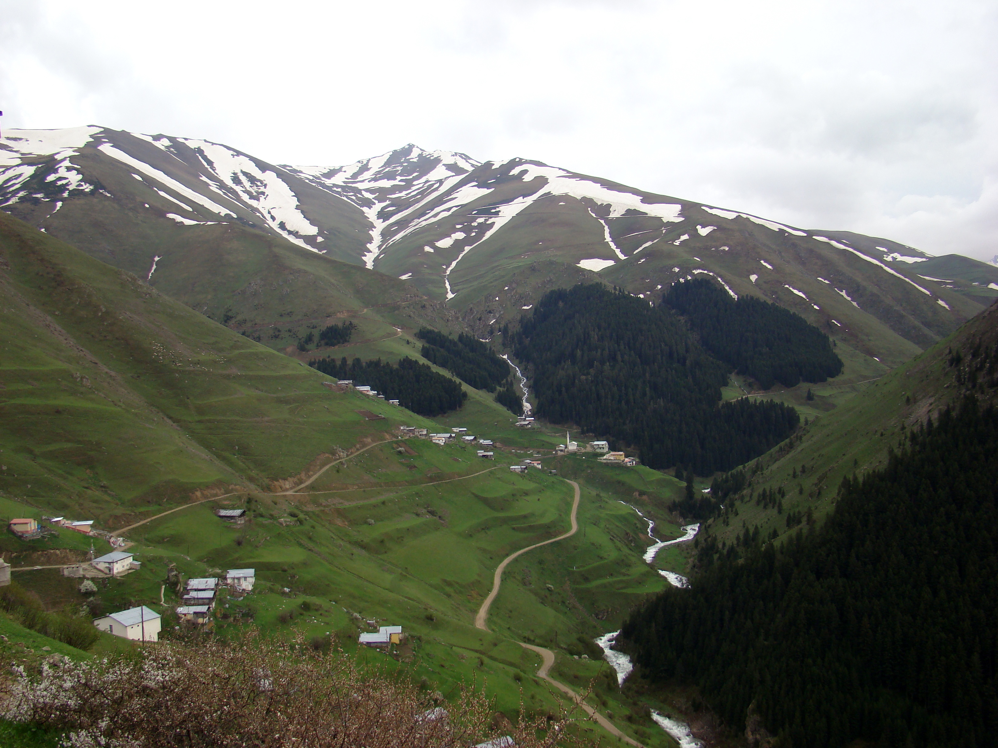 Free download high resolution image - free image free photo free stock image public domain picture -Anzer plateau in the Blacksea region of Turkey