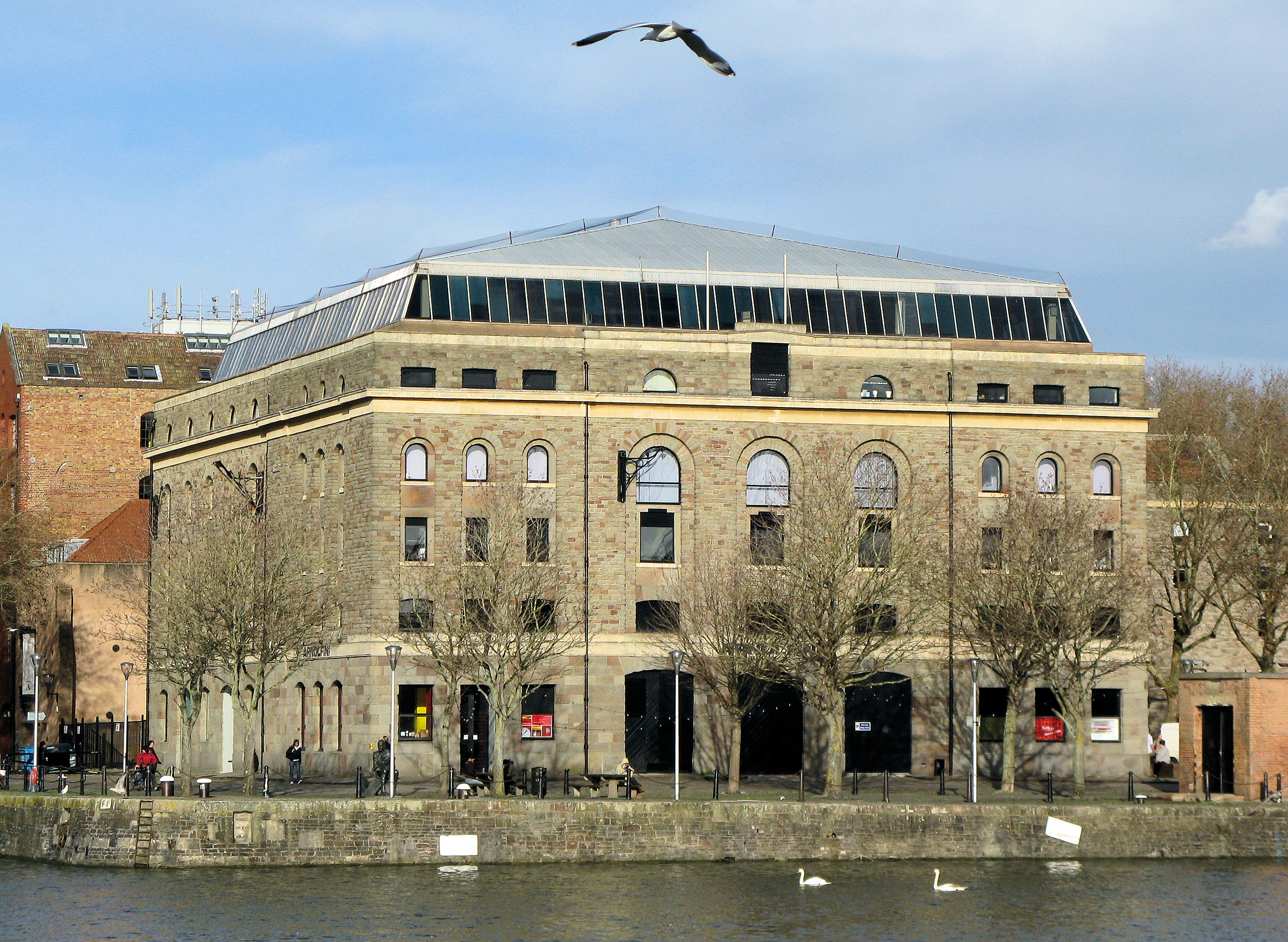 Free download high resolution image - free image free photo free stock image public domain picture -Herring Gull - Larus argentatus Flying past harbor building