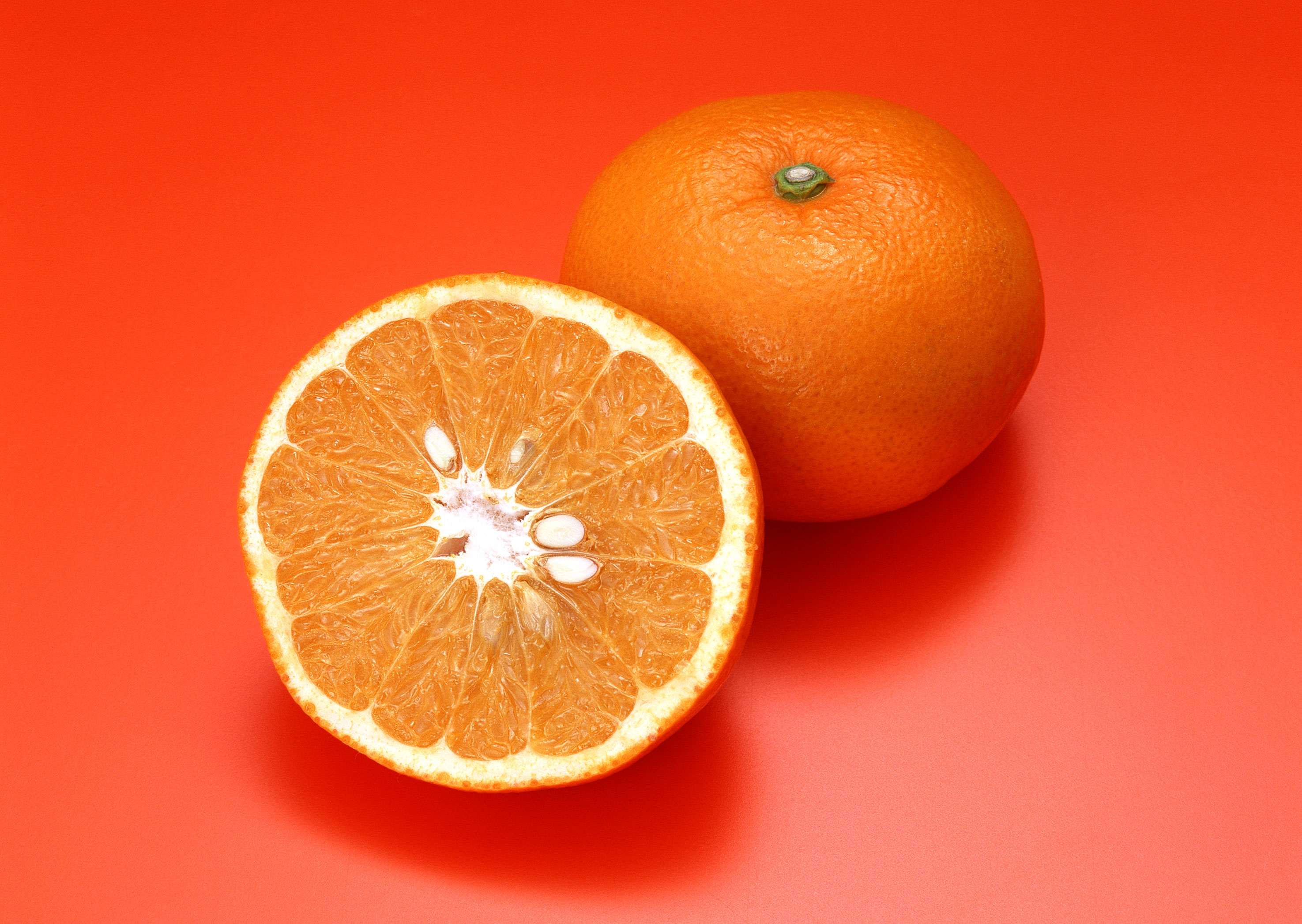 Free download high resolution image - free image free photo free stock image public domain picture -Juicy orange with slice