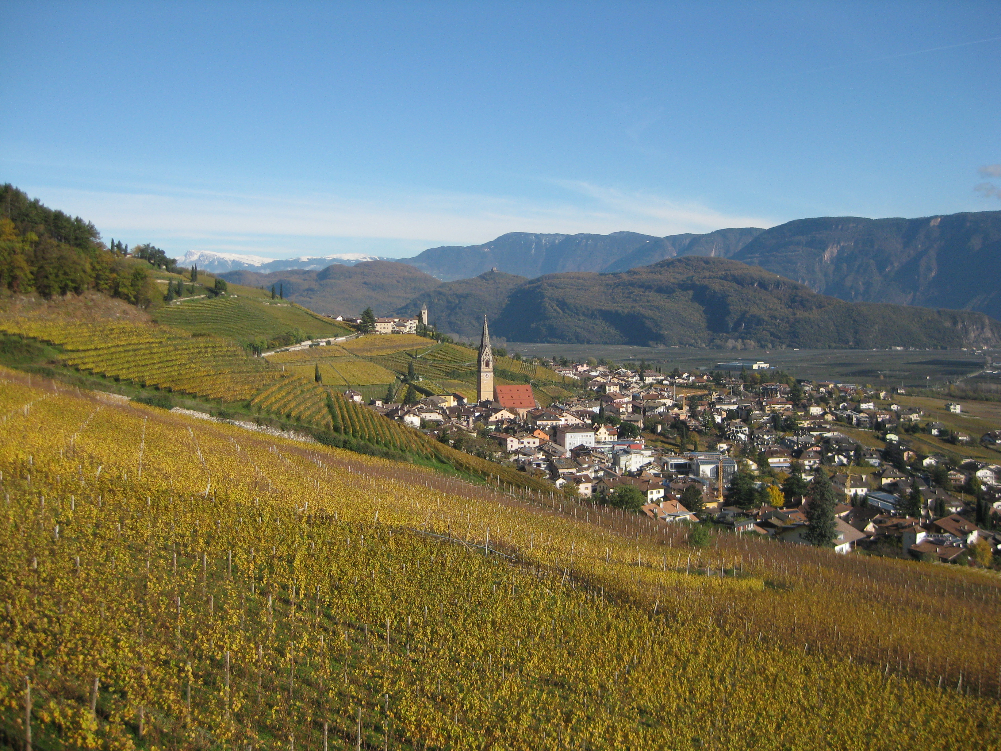 Free download high resolution image - free image free photo free stock image public domain picture -famous Wine Village of Tramin at south tyrolean