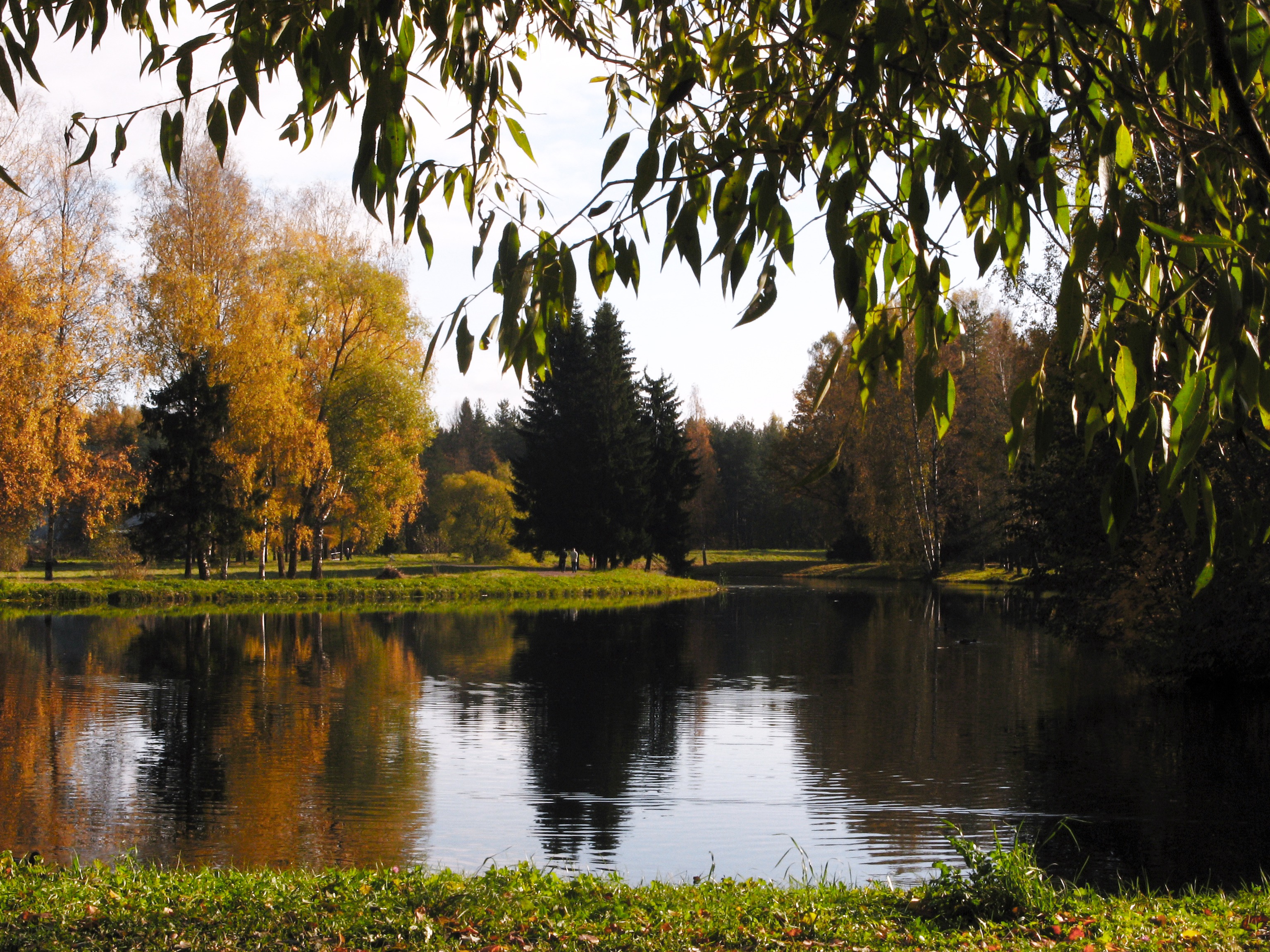 Free download high resolution image - free image free photo free stock image public domain picture -forest and river