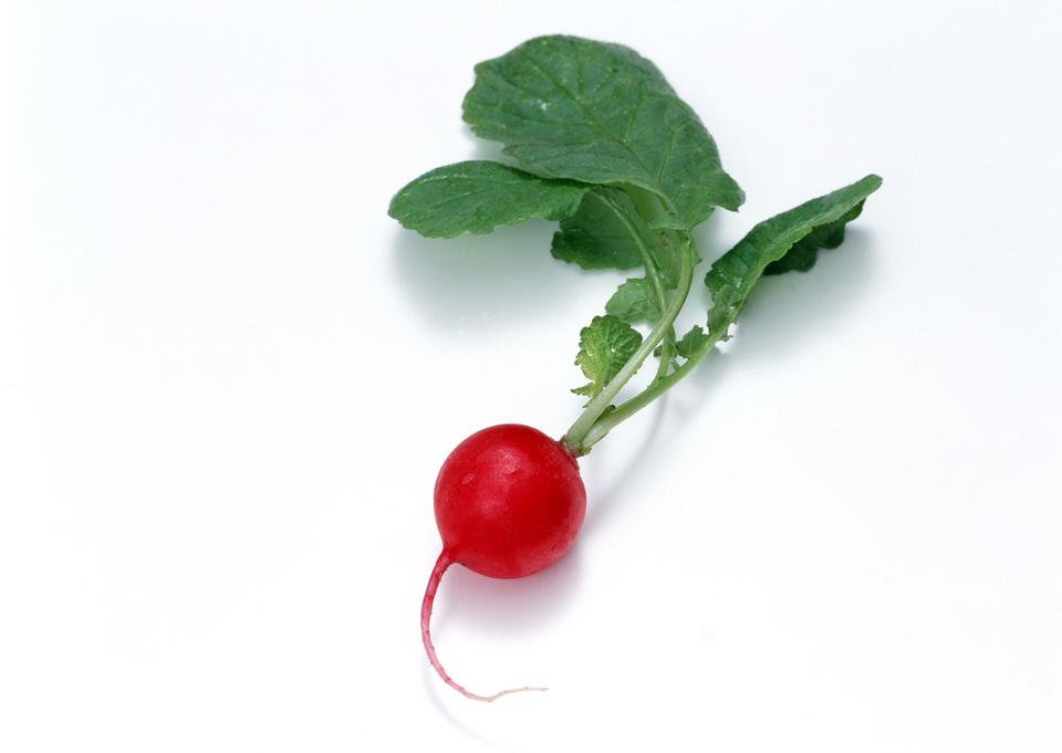 Free download high resolution image - free image free photo free stock image public domain picture  Small garden radish with leaves