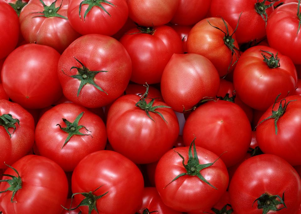 Free download high resolution image - free image free photo free stock image public domain picture  Group of tomatoes