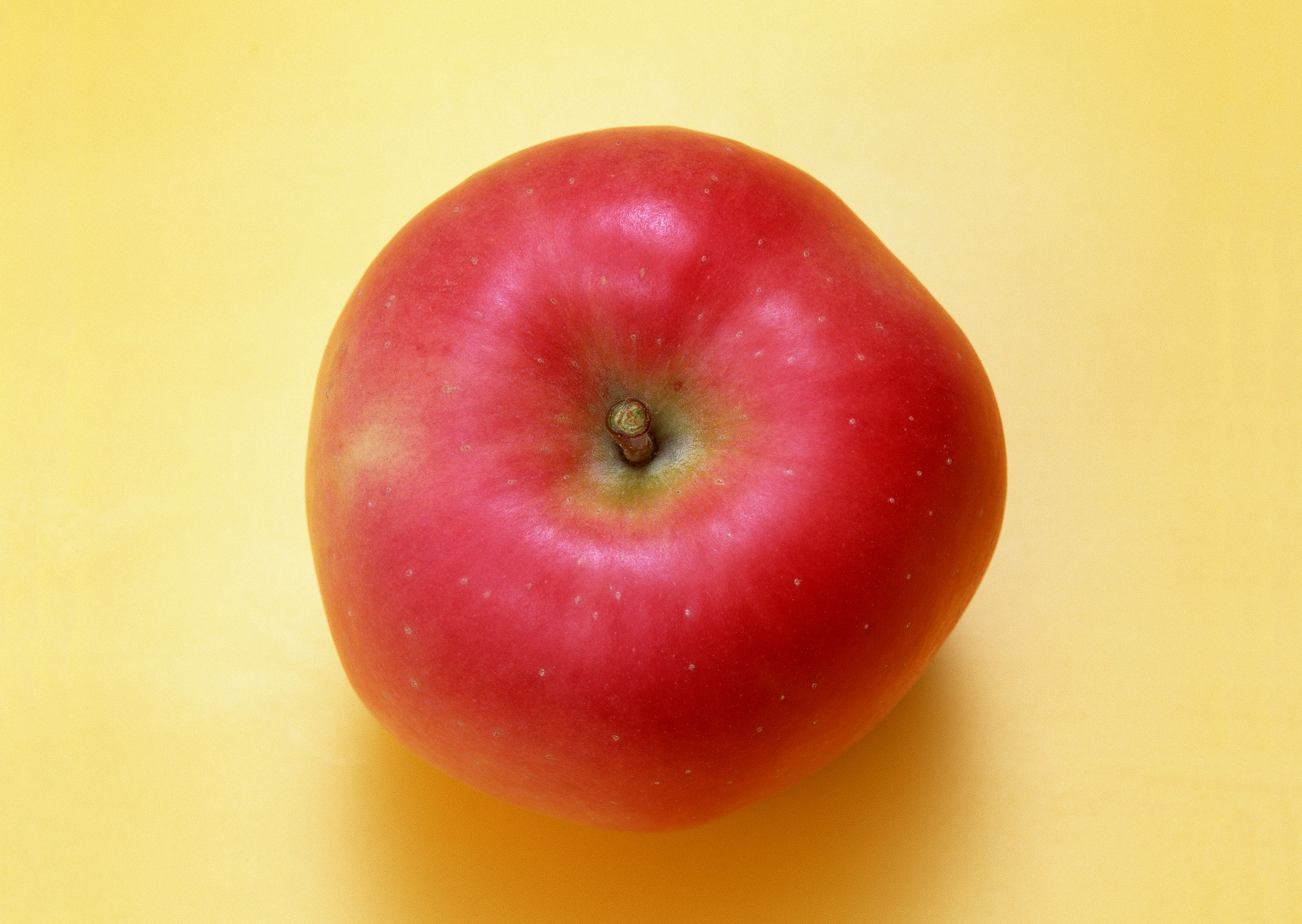 Free download high resolution image - free image free photo free stock image public domain picture -Red apple isolated