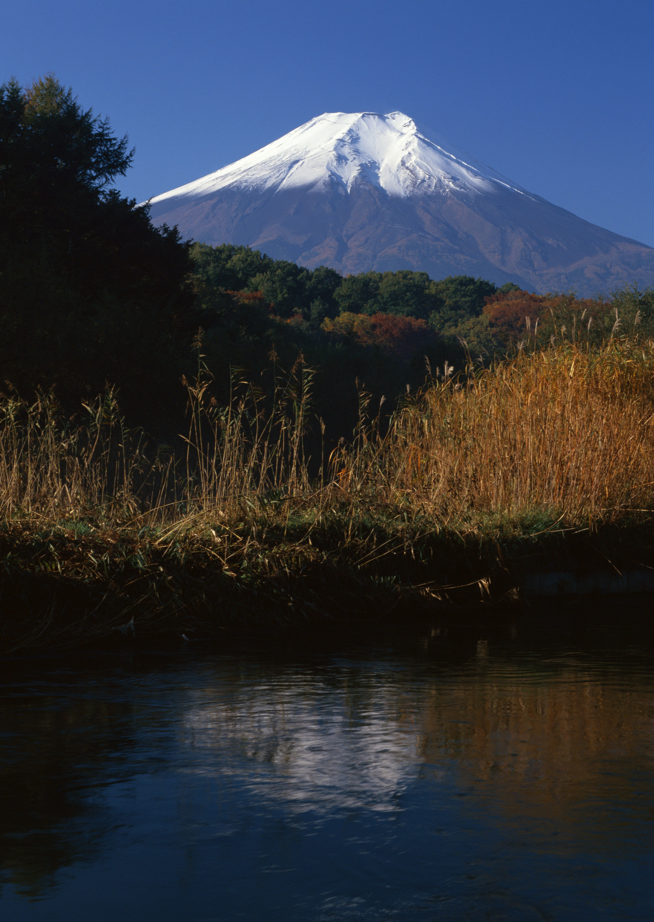 Free download high resolution image - free image free photo free stock image public domain picture -Mt Fuji view from the lake