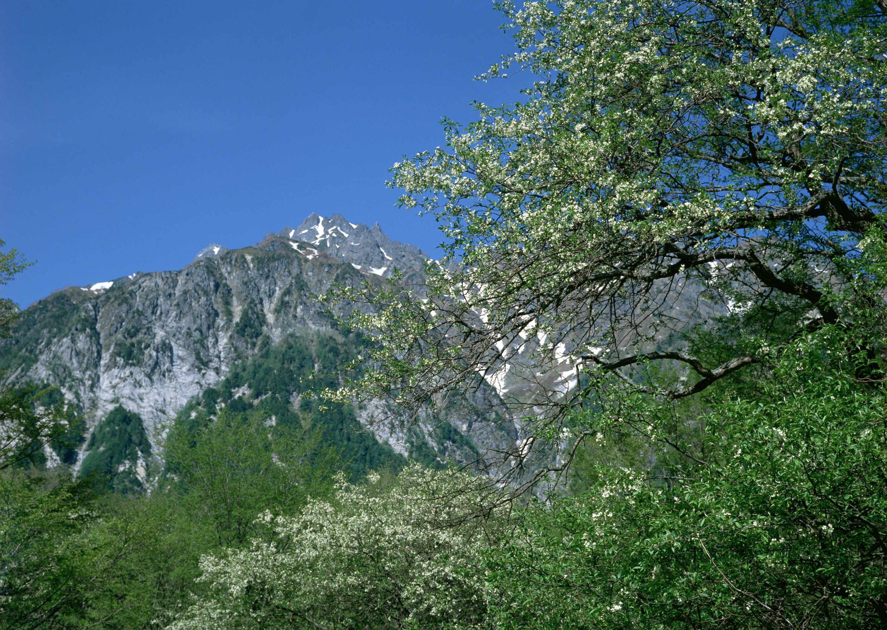 Free download high resolution image - free image free photo free stock image public domain picture -Mountain range