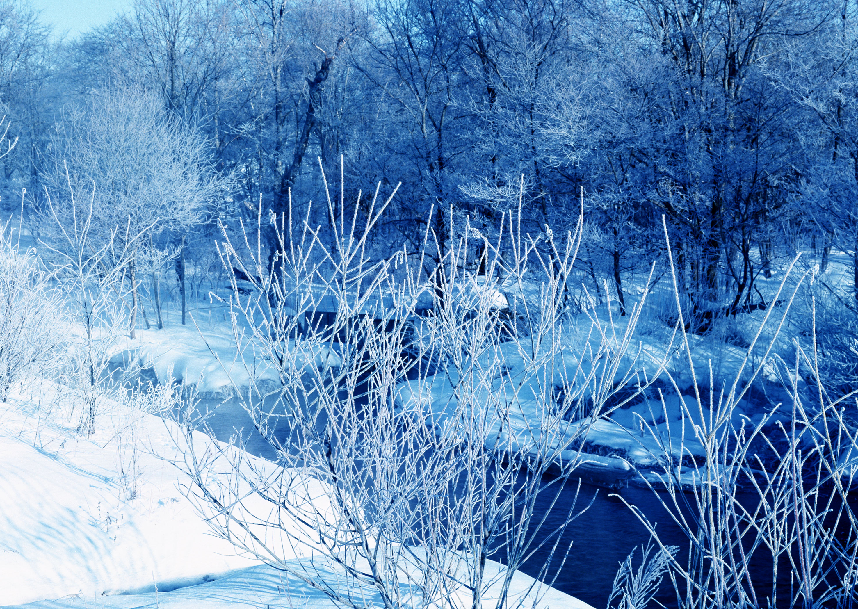 Free download high resolution image - free image free photo free stock image public domain picture -Frozen mountain river, with snow and ice