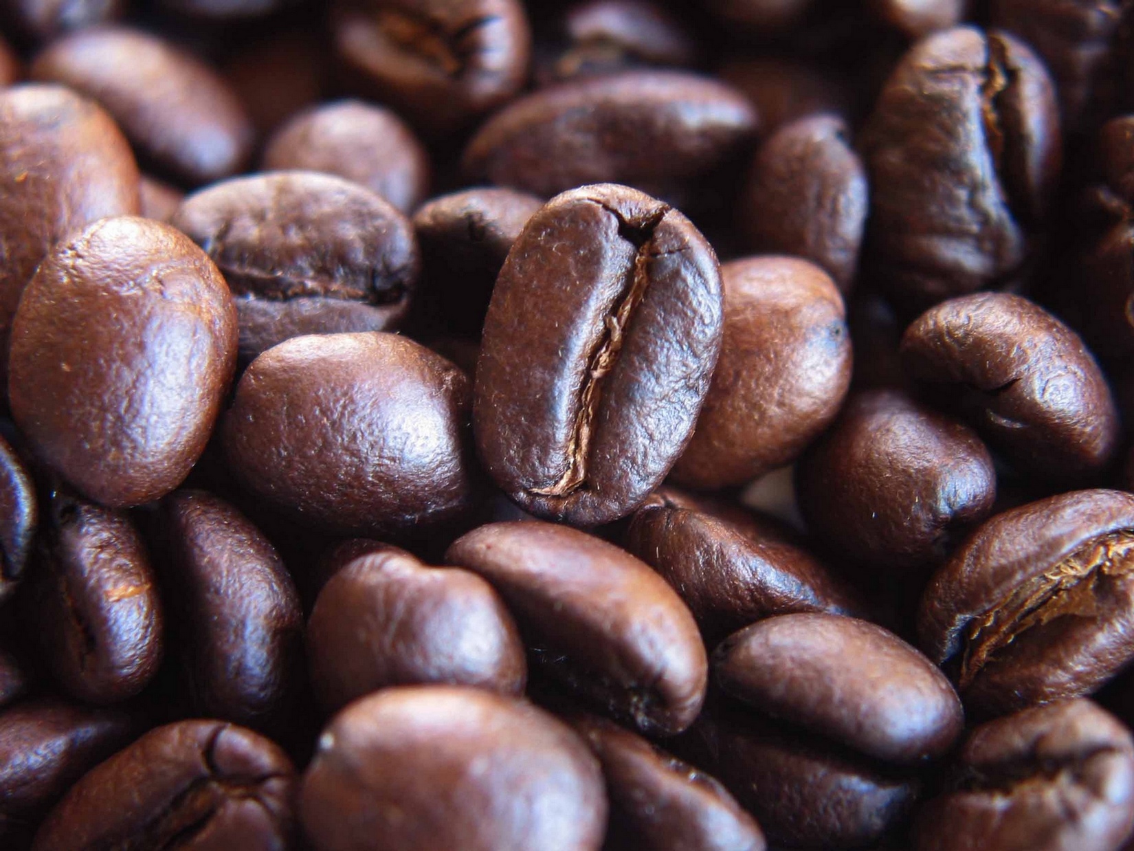 Free download high resolution image - free image free photo free stock image public domain picture -roasted coffee beans