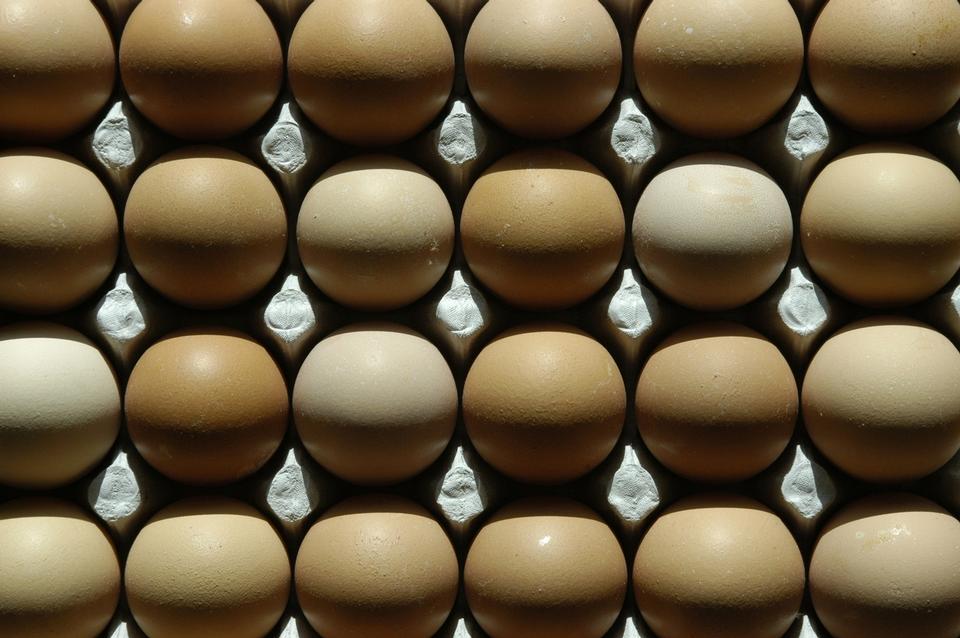 Free download high resolution image - free image free photo free stock image public domain picture  Eggs in paper tray