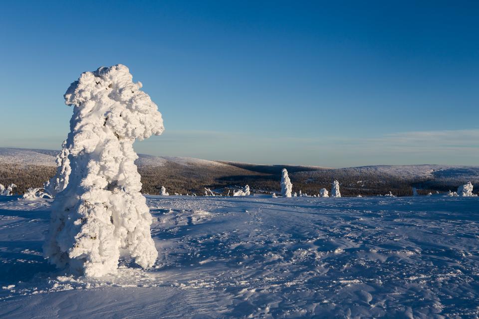 Free download high resolution image - free image free photo free stock image public domain picture  Beautiful winter landscape with snow covered trees