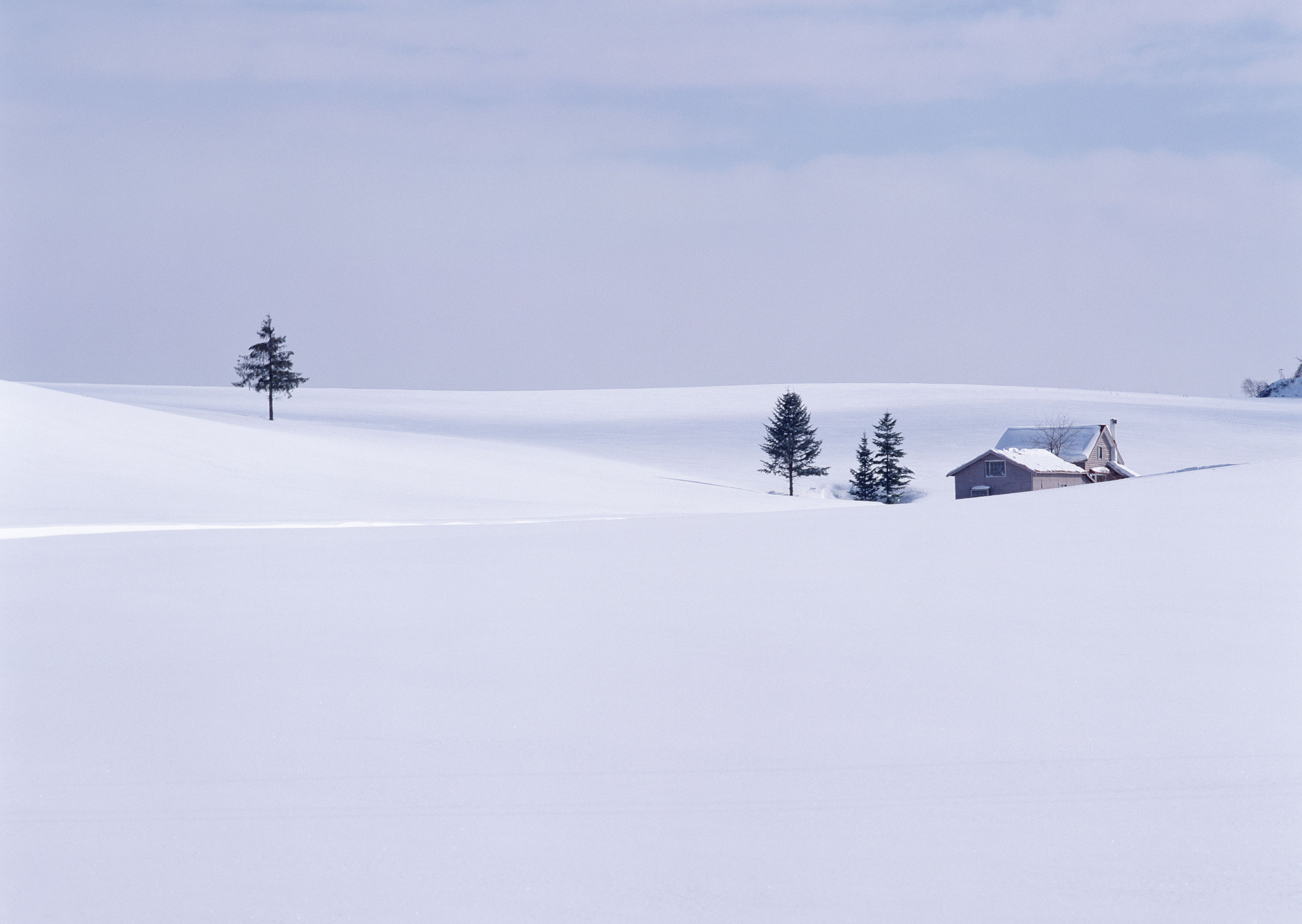 Free download high resolution image - free image free photo free stock image public domain picture -A Snow Scene And Trees in Hokkaido, Japan