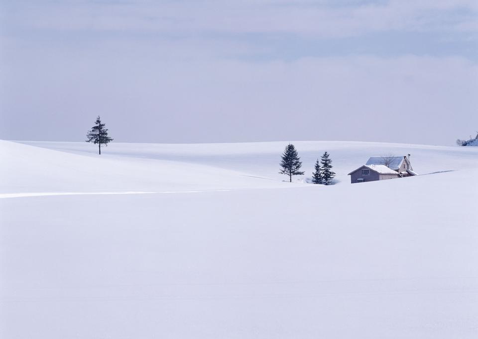 Free download high resolution image - free image free photo free stock image public domain picture  A Snow Scene And Trees in Hokkaido, Japan