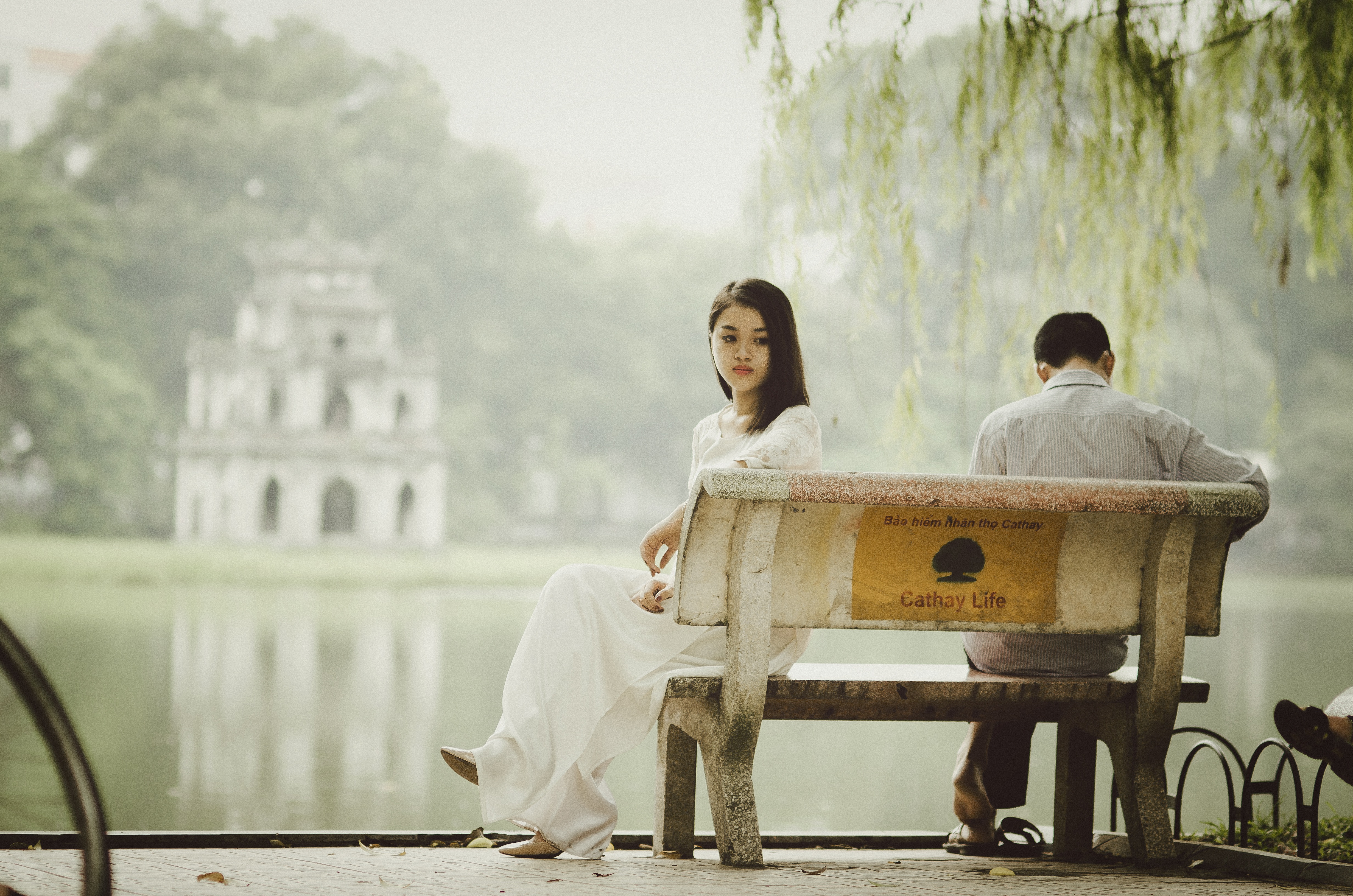 Free download high resolution image - free image free photo free stock image public domain picture -Romantic young couple sitting on park bench by lake