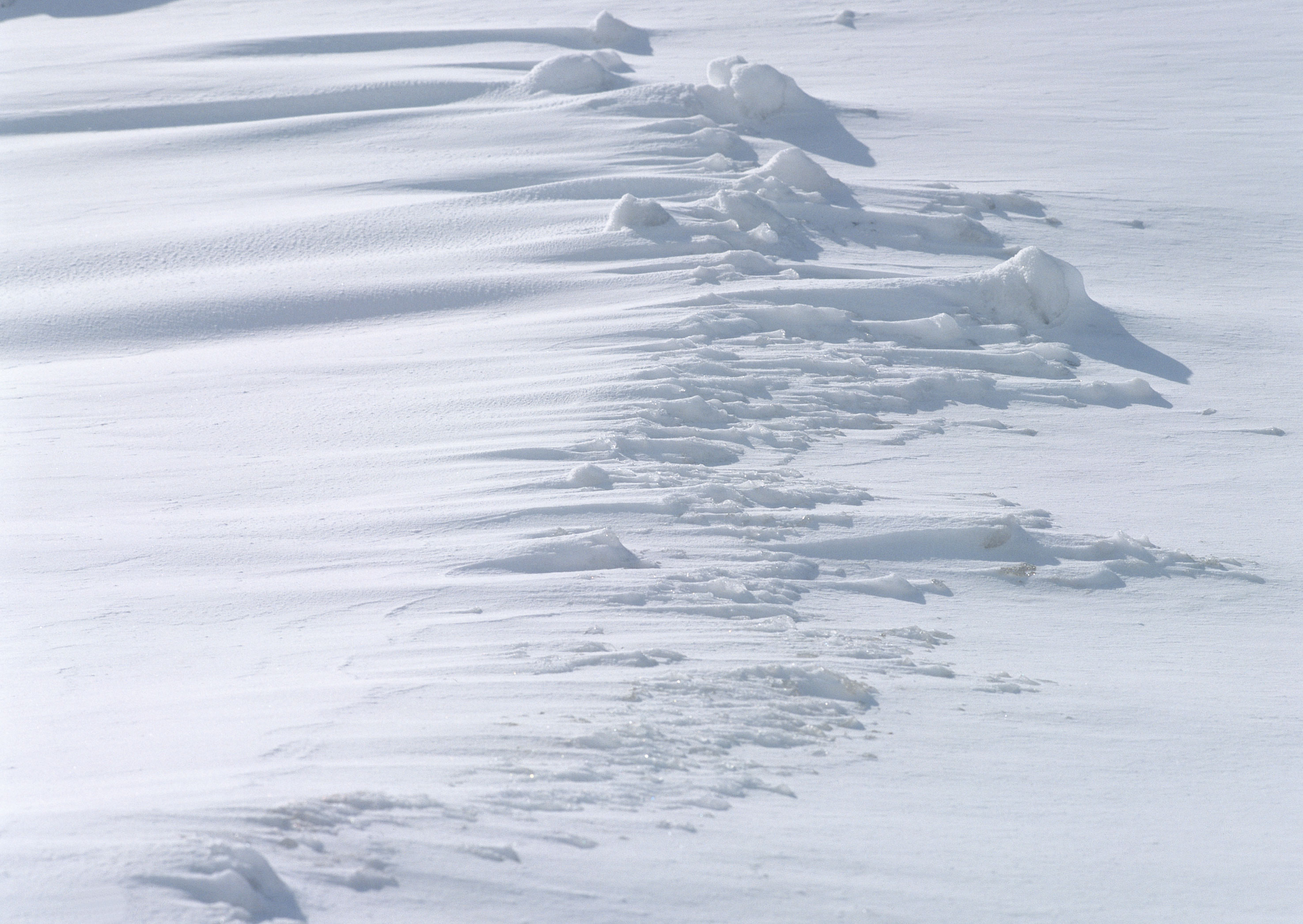 Free download high resolution image - free image free photo free stock image public domain picture -Snow texture for the background