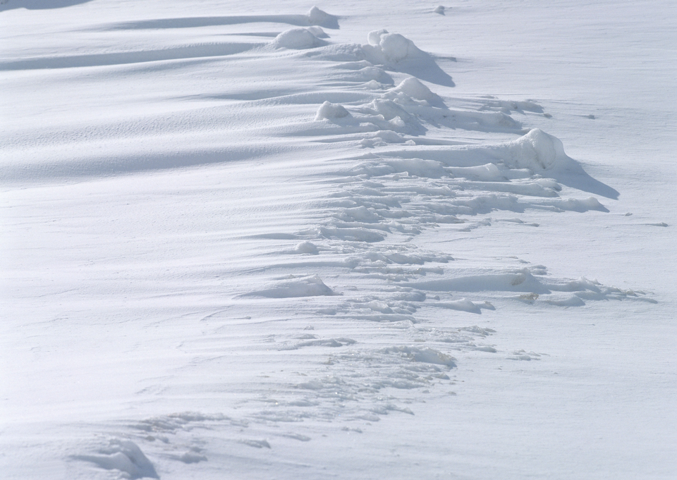 Free download high resolution image - free image free photo free stock image public domain picture  Snow texture for the background