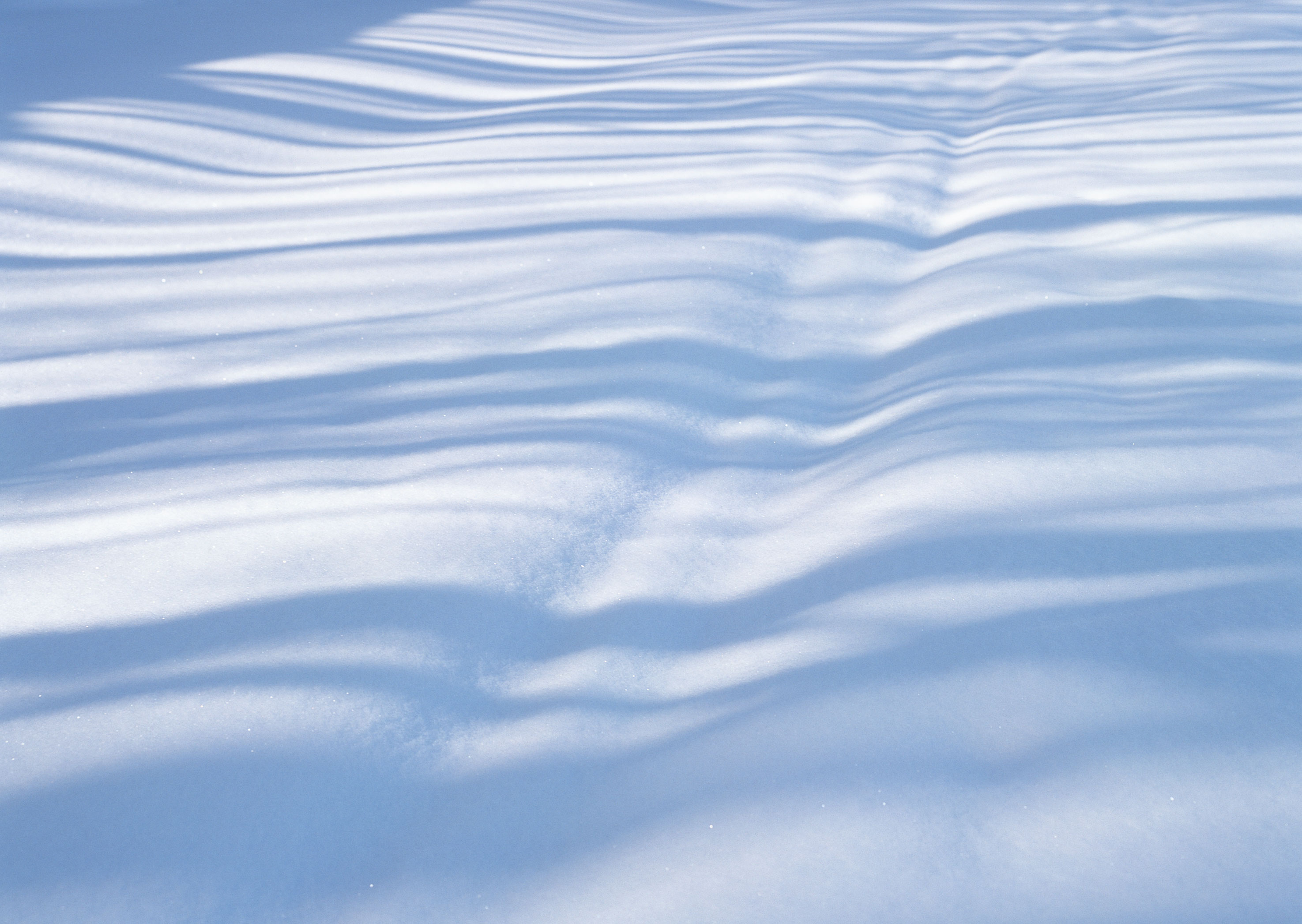 Free download high resolution image - free image free photo free stock image public domain picture -Snow texture for the background