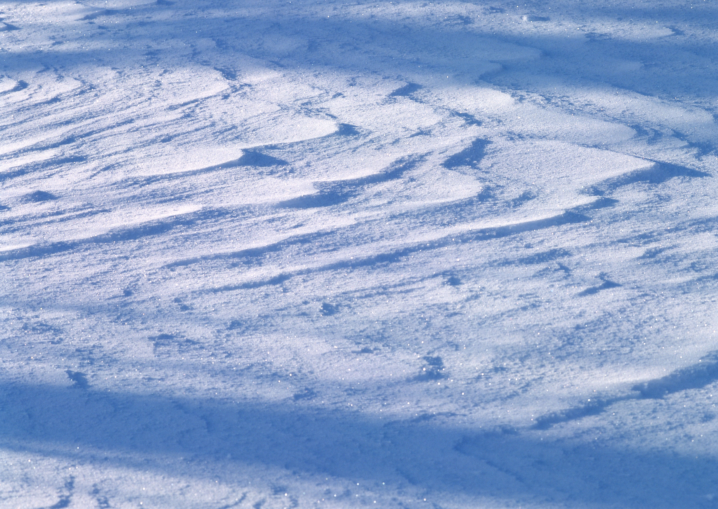 Free download high resolution image - free image free photo free stock image public domain picture -Snow texture for the background