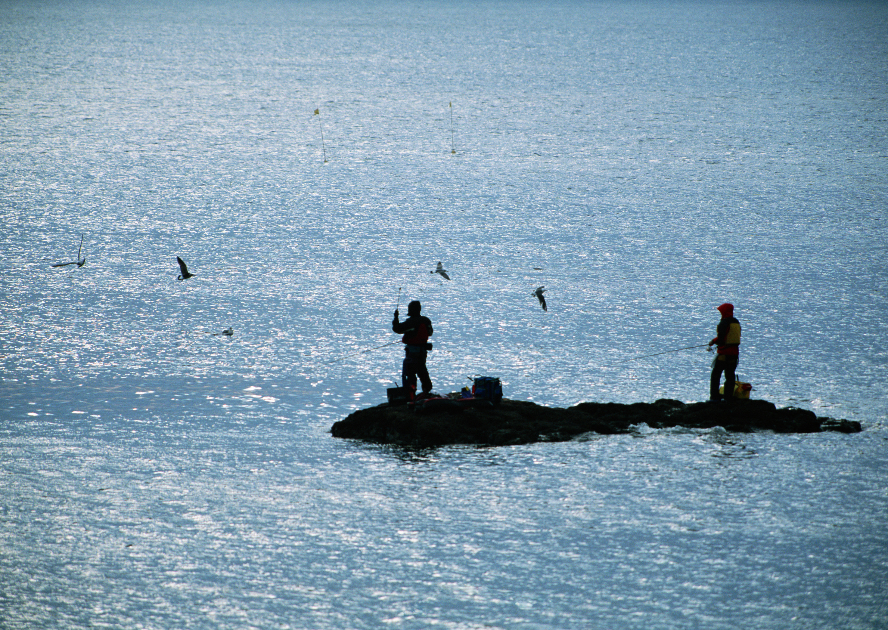 Free download high resolution image - free image free photo free stock image public domain picture -A rock fishing