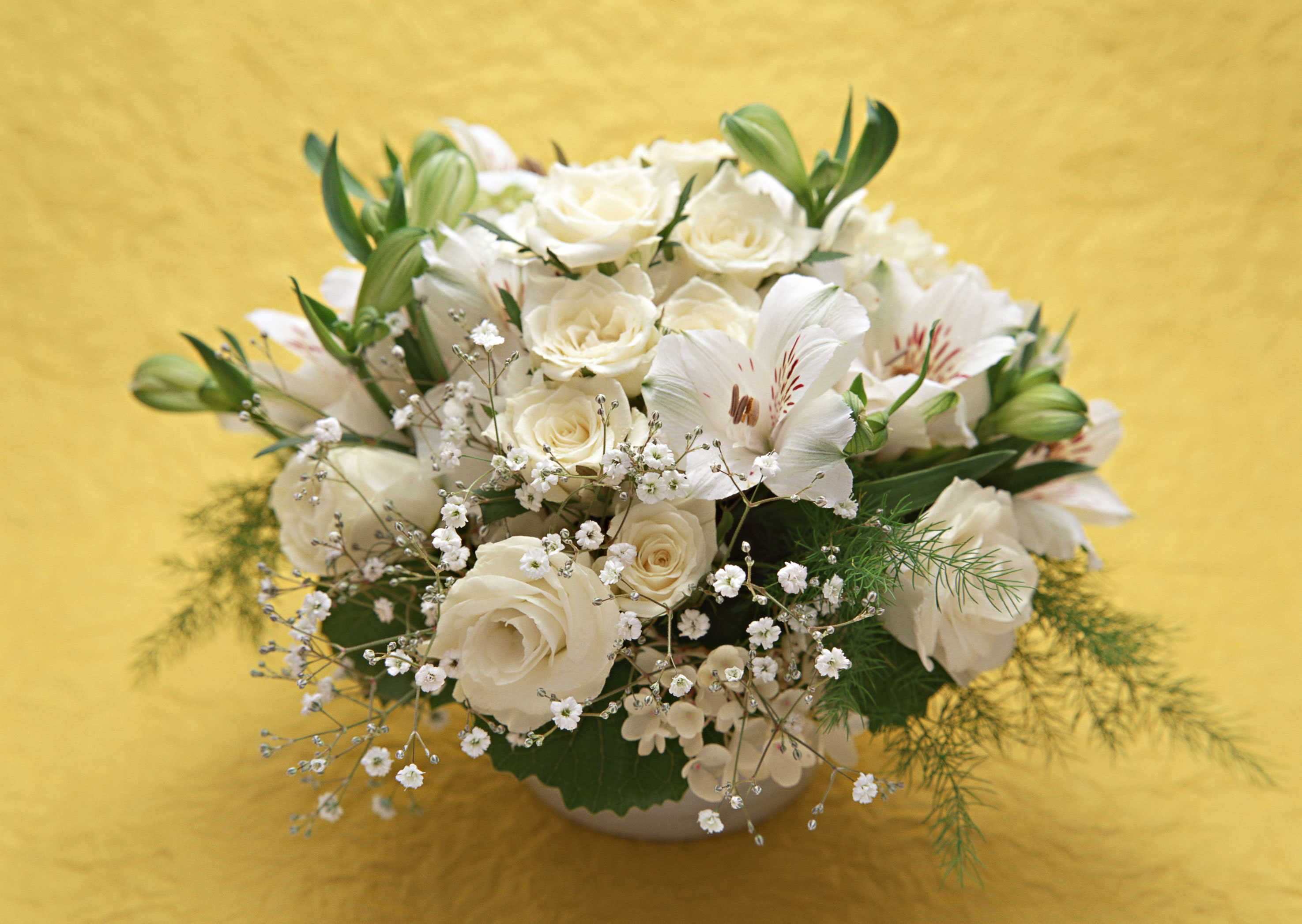 Free download high resolution image - free image free photo free stock image public domain picture -Bouquet of roses and white lilies