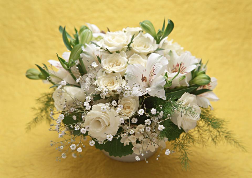 Free download high resolution image - free image free photo free stock image public domain picture  Bouquet of roses and white lilies