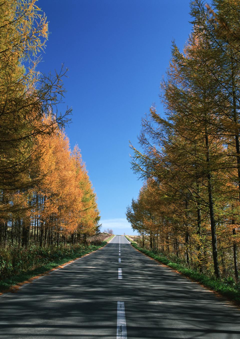 Free download high resolution image - free image free photo free stock image public domain picture  Beautiful countryside road