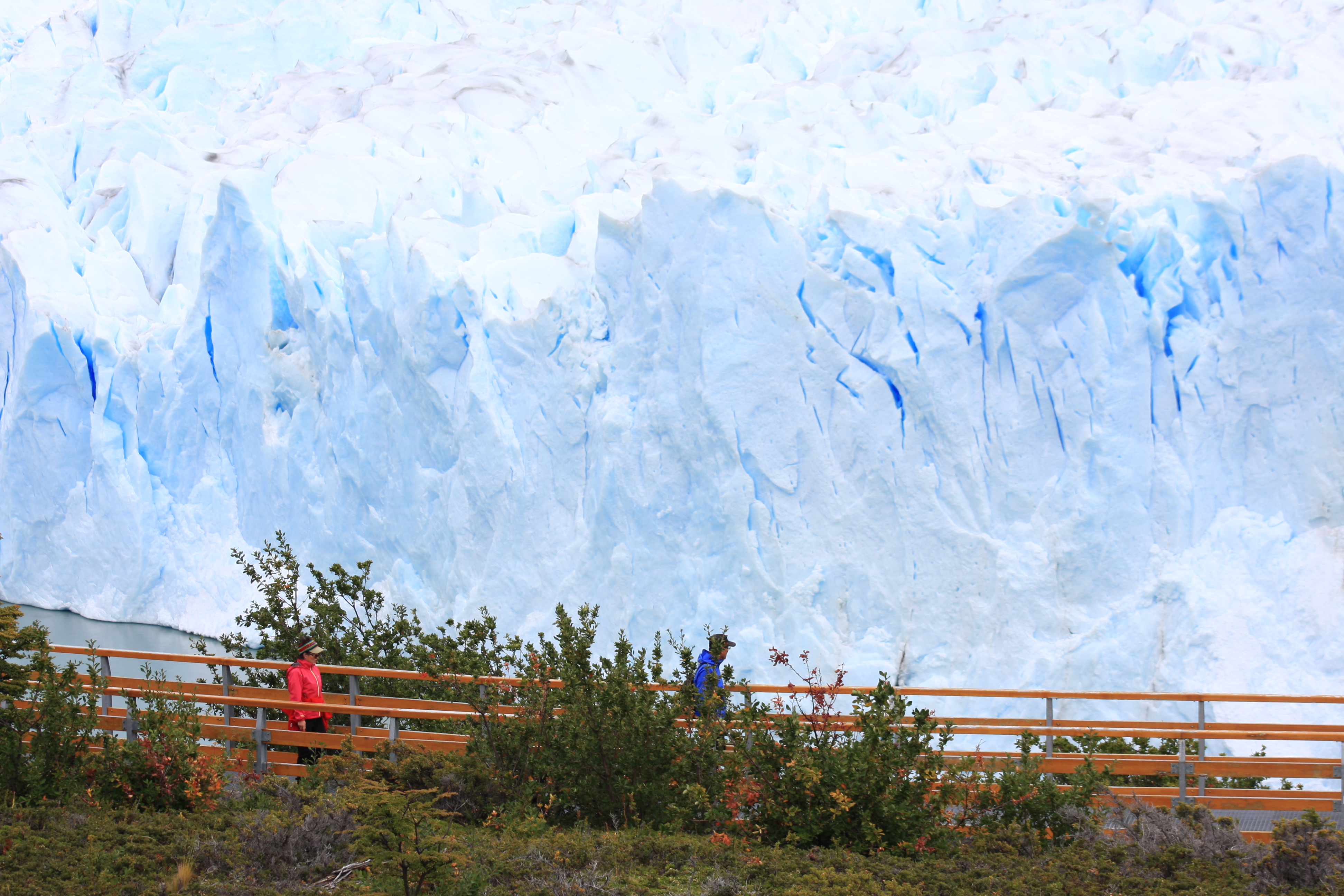 Free download high resolution image - free image free photo free stock image public domain picture -Perito Moreno glacier, Argentina