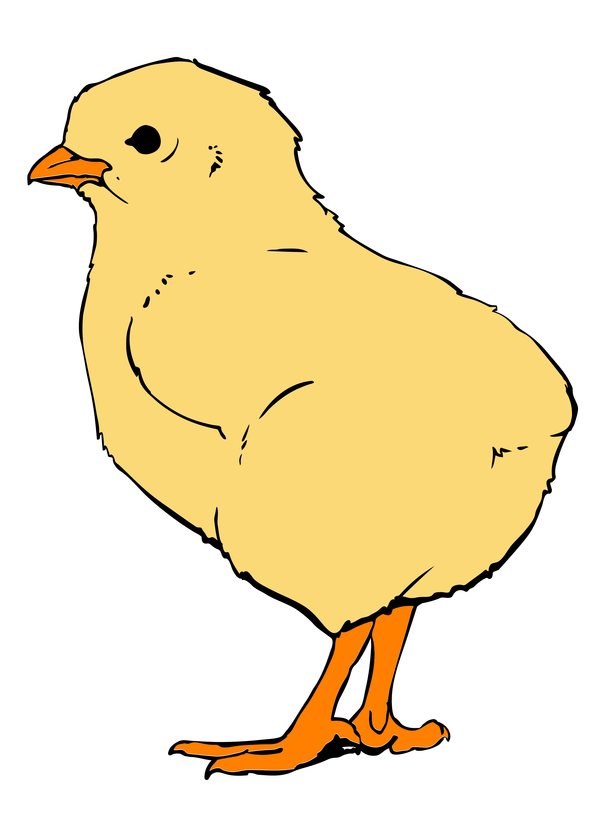 Free download high resolution image - free image free photo free stock image public domain picture -Happy chick cartoon