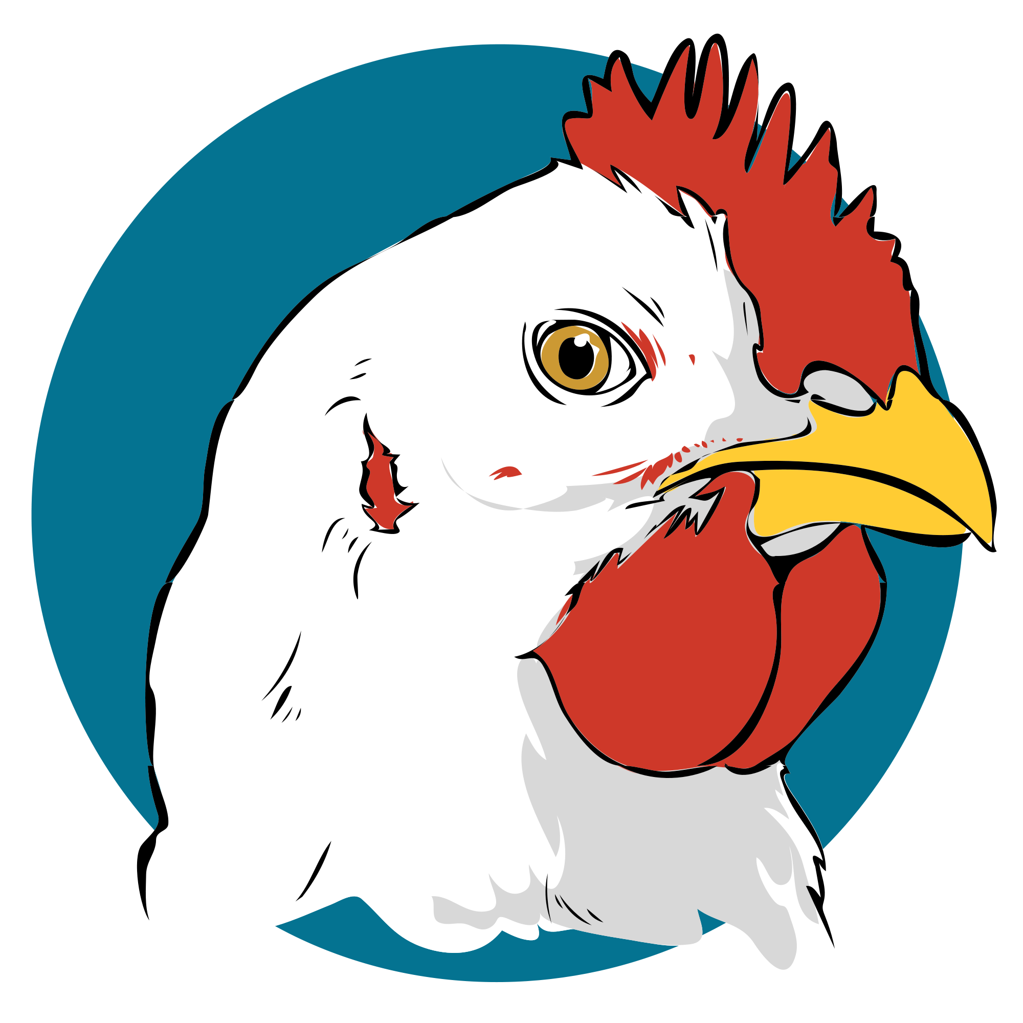 Free download high resolution image - free image free photo free stock image public domain picture -chicken on white background