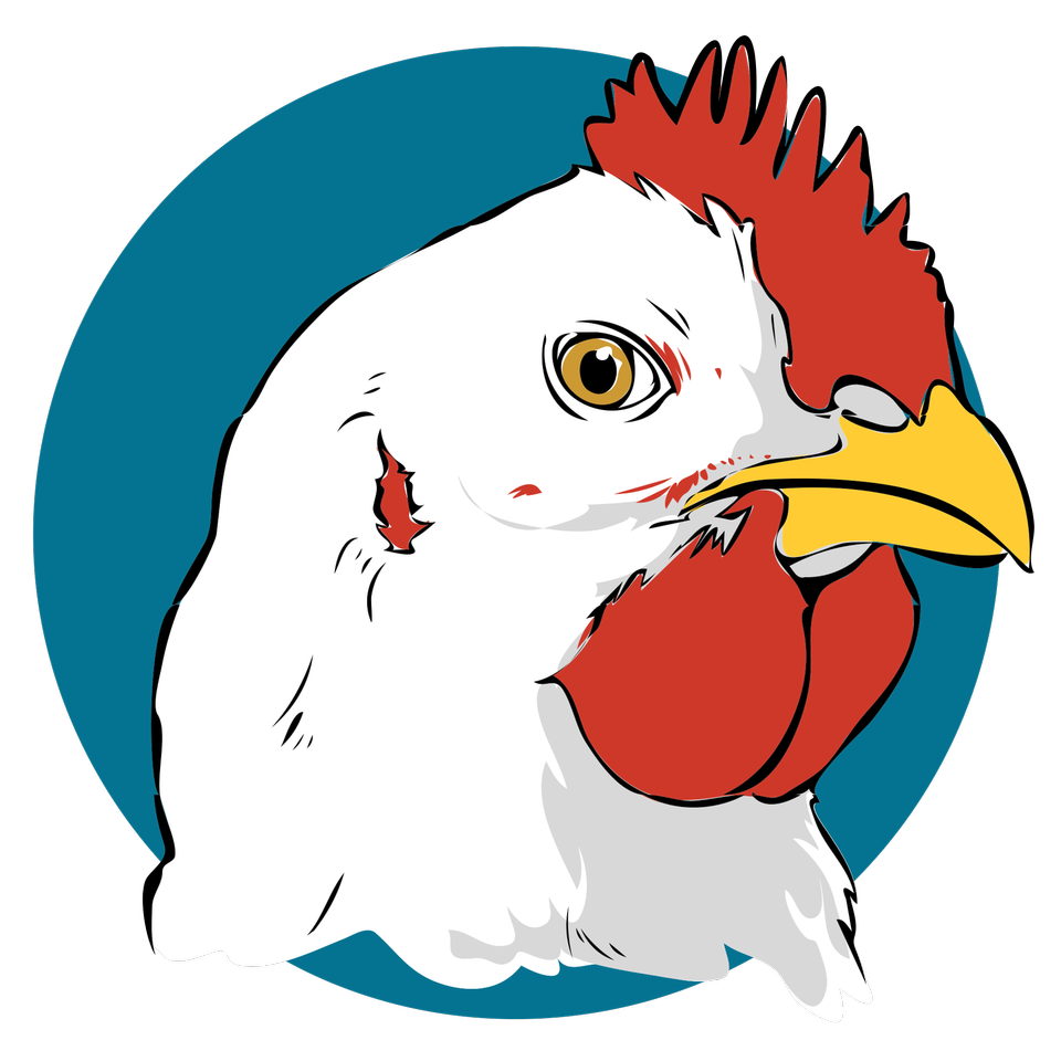 Free download high resolution image - free image free photo free stock image public domain picture  chicken on white background